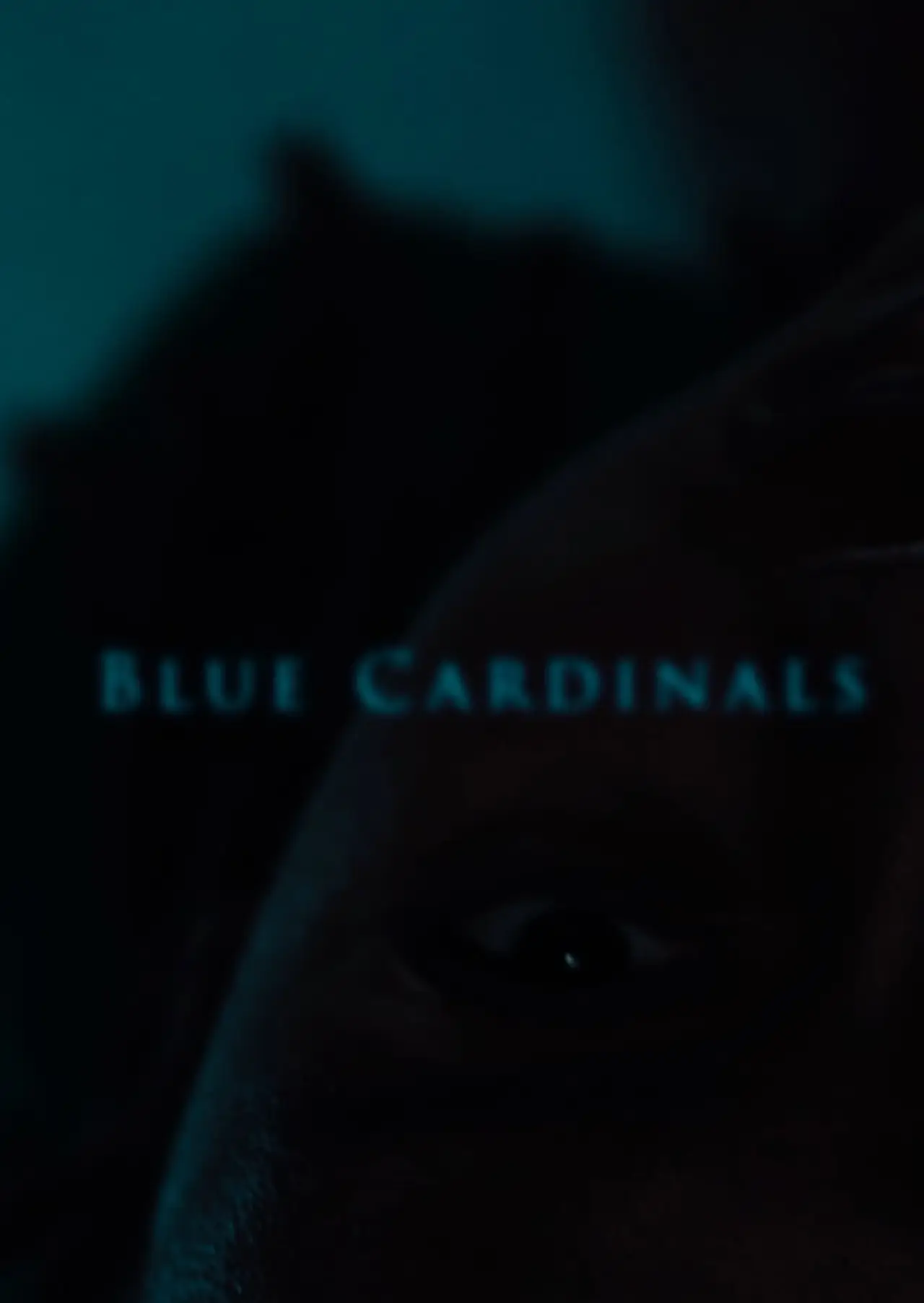 Постер к фильму "Blue Cardinals"