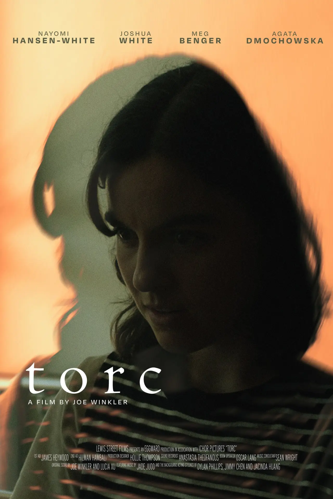 Постер к фильму "TORC"