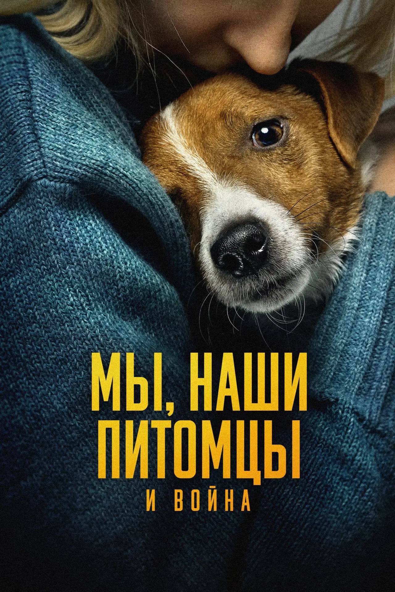 Постер к фильму "Мы, наши любимцы и война"