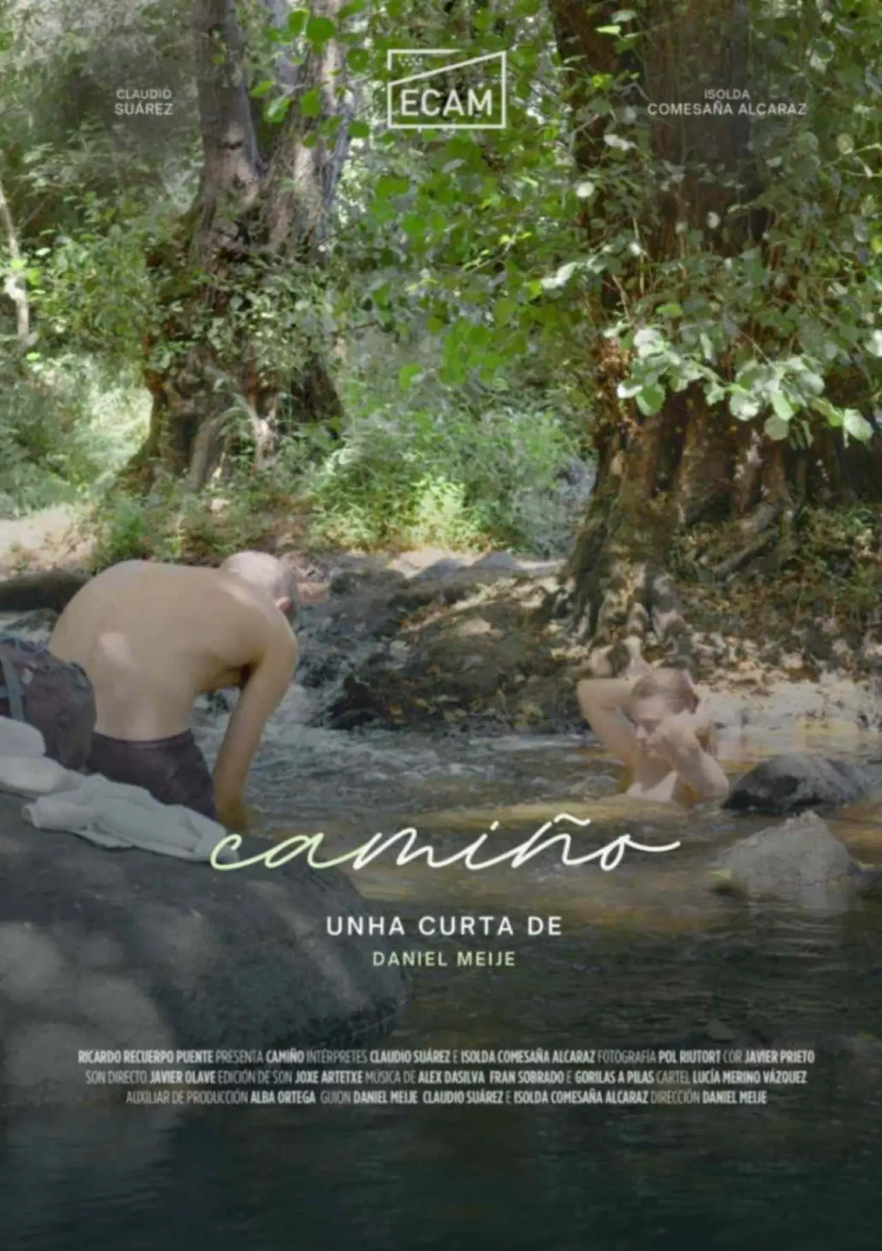 Постер к фильму "Camiño"