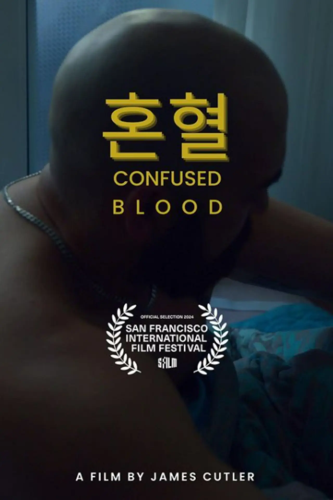 Постер к фильму "Confused Blood"