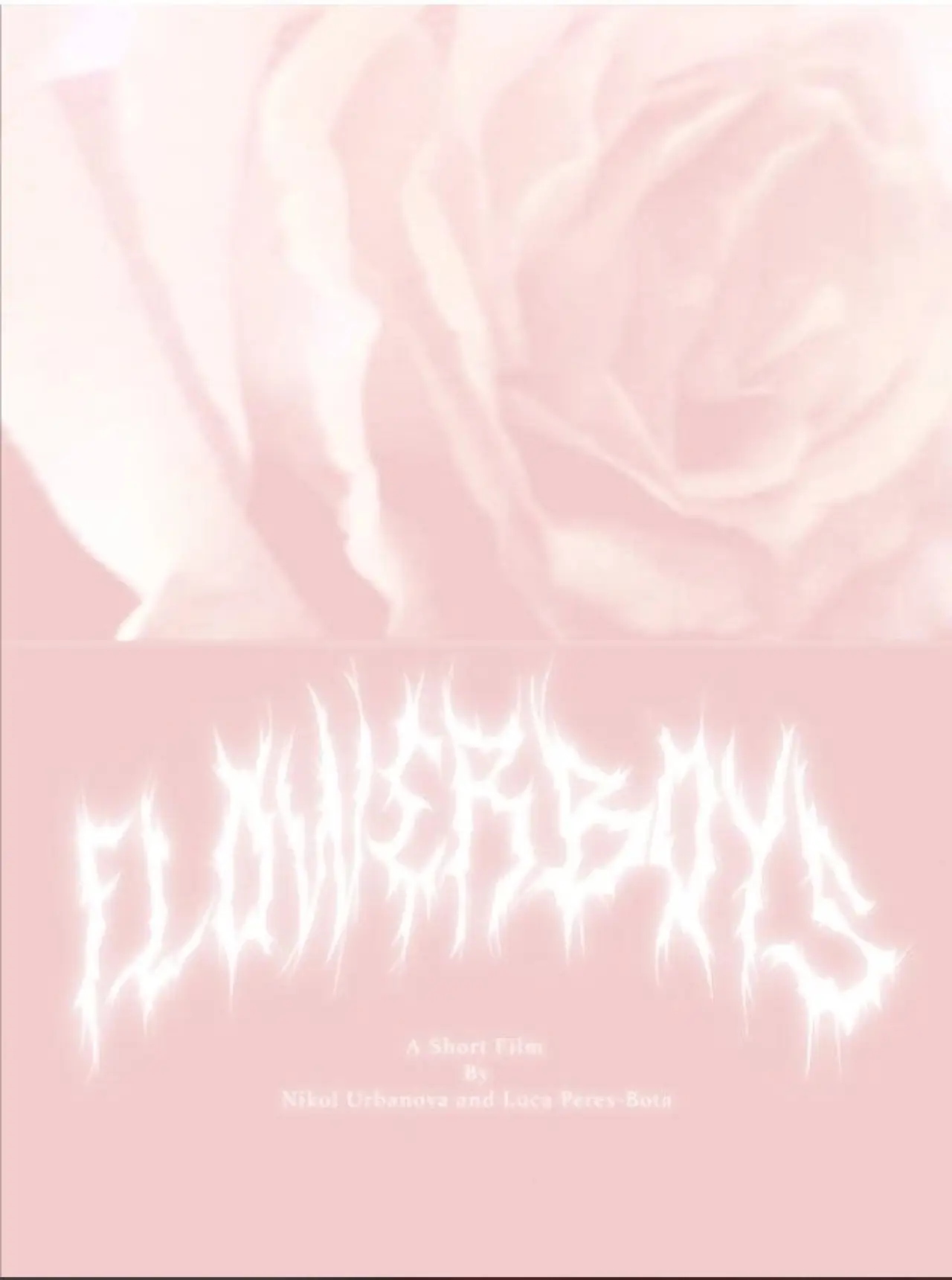 Постер к фильму "Flowerboys"