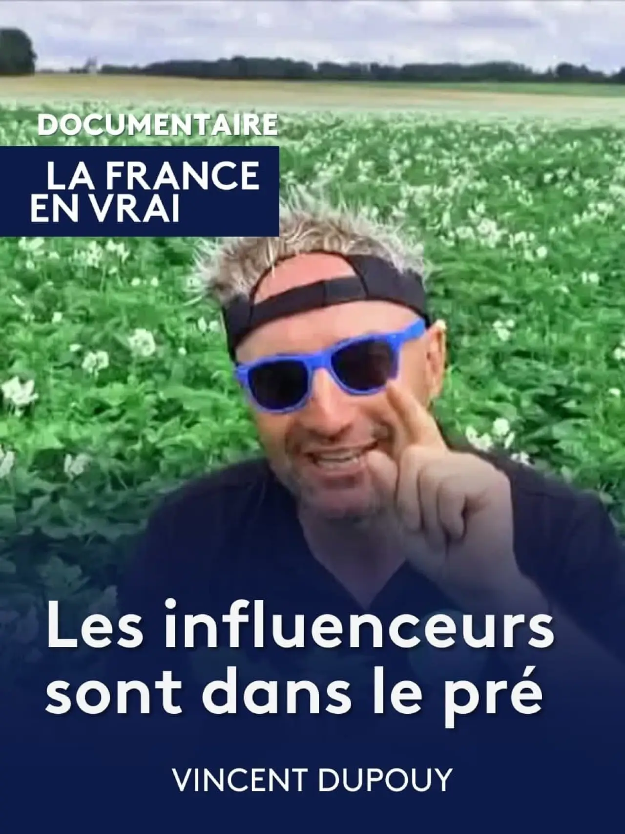 Постер к фильму "Les influenceurs sont dans le pré"
