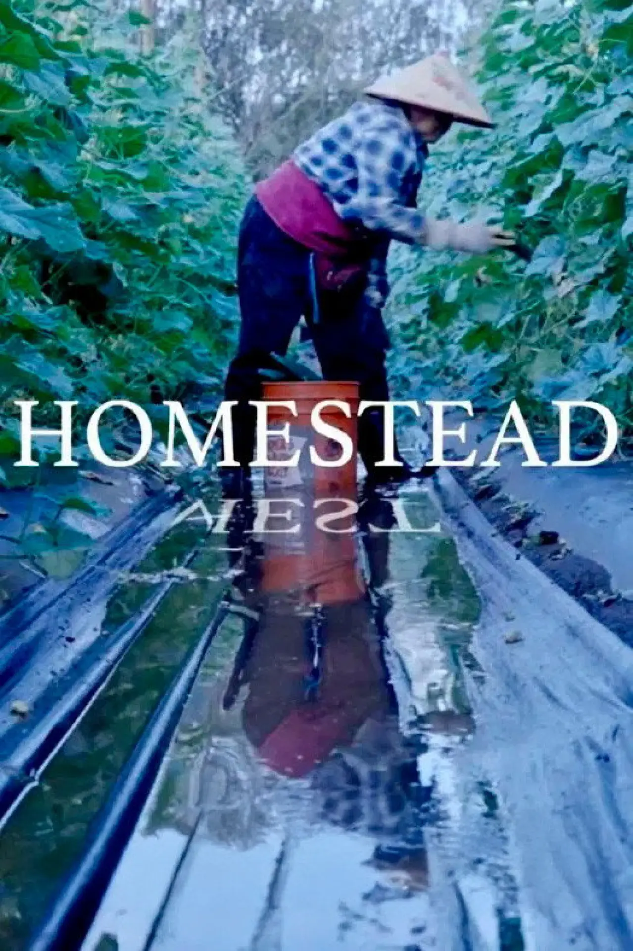 Постер к фильму "Homestead"
