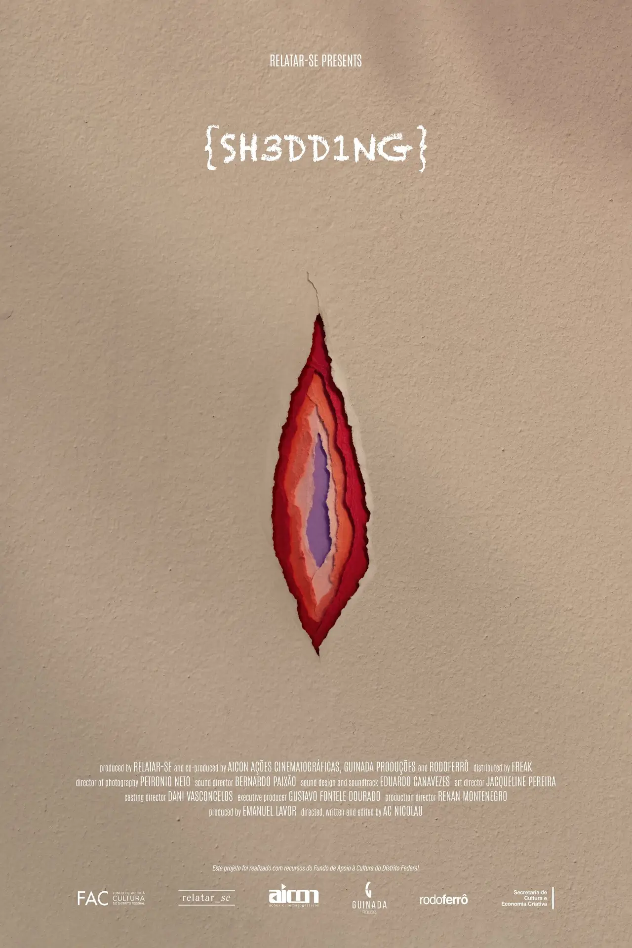Постер к фильму "Descamar"