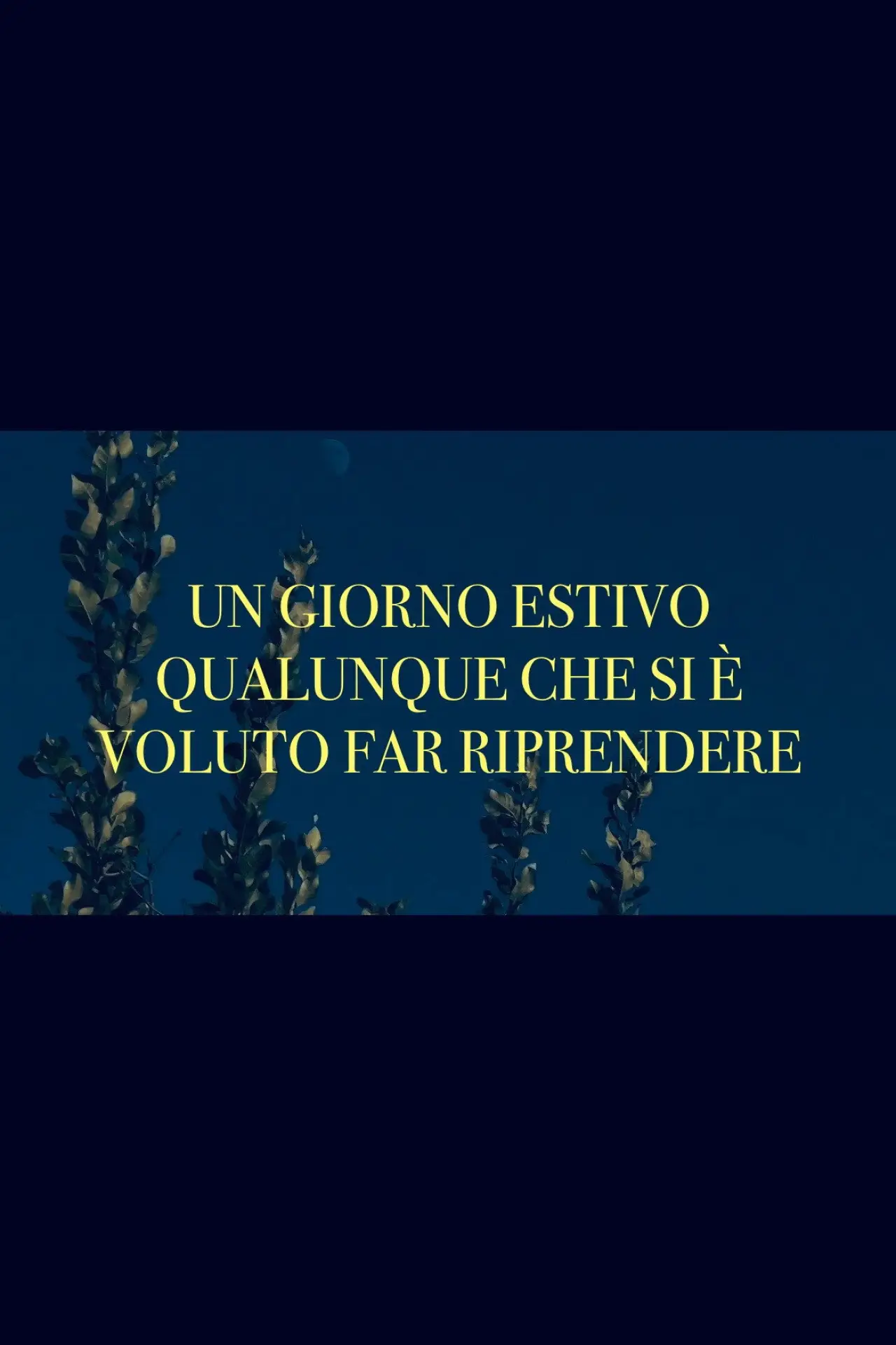 Постер к фильму "Un giorno estivo qualunque che si è voluto far riprendere"