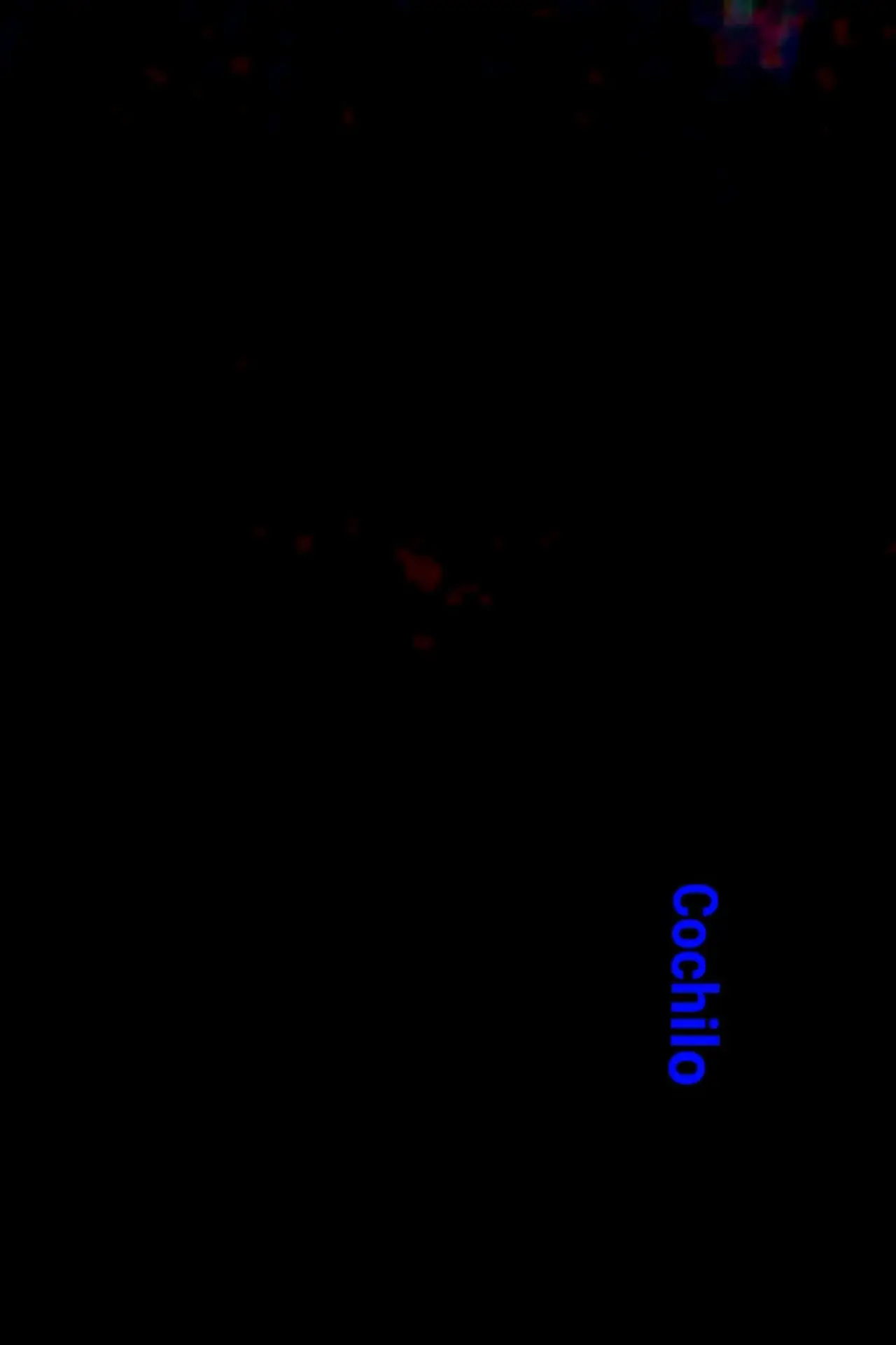 Постер к фильму "Cochilo"