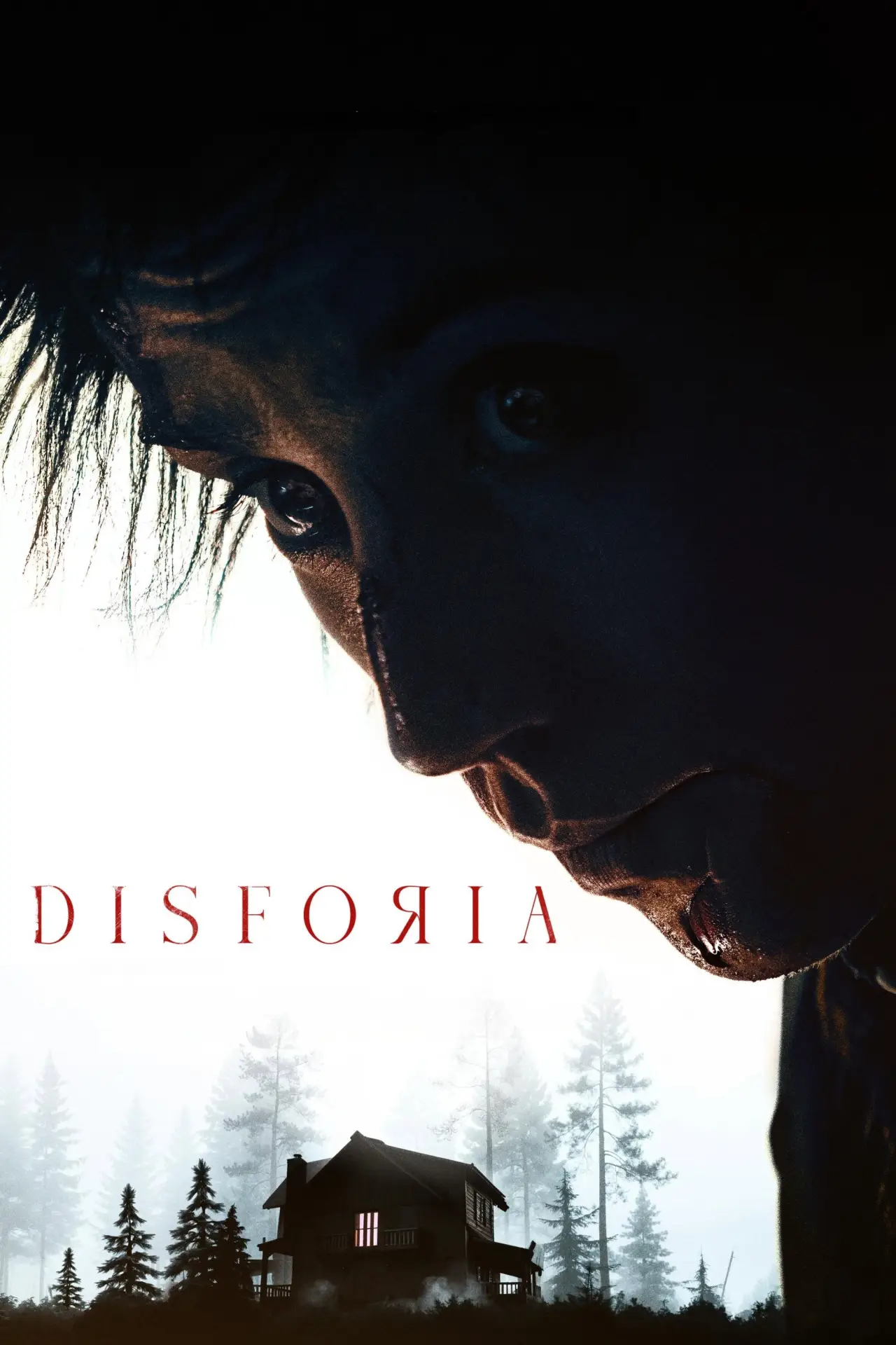 Постер к фильму "Disforia"