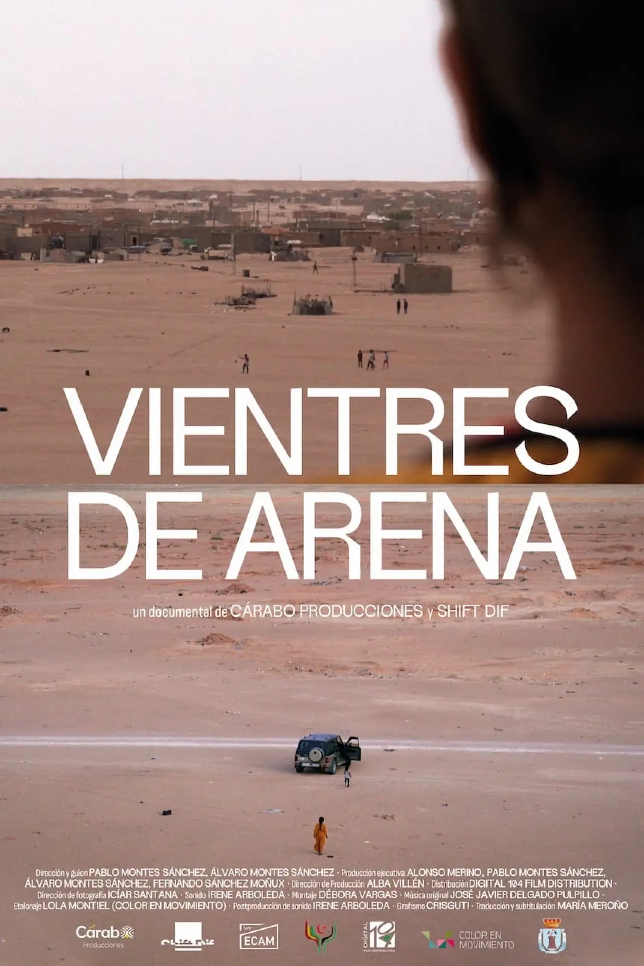 Постер к фильму "Vientres de arena"