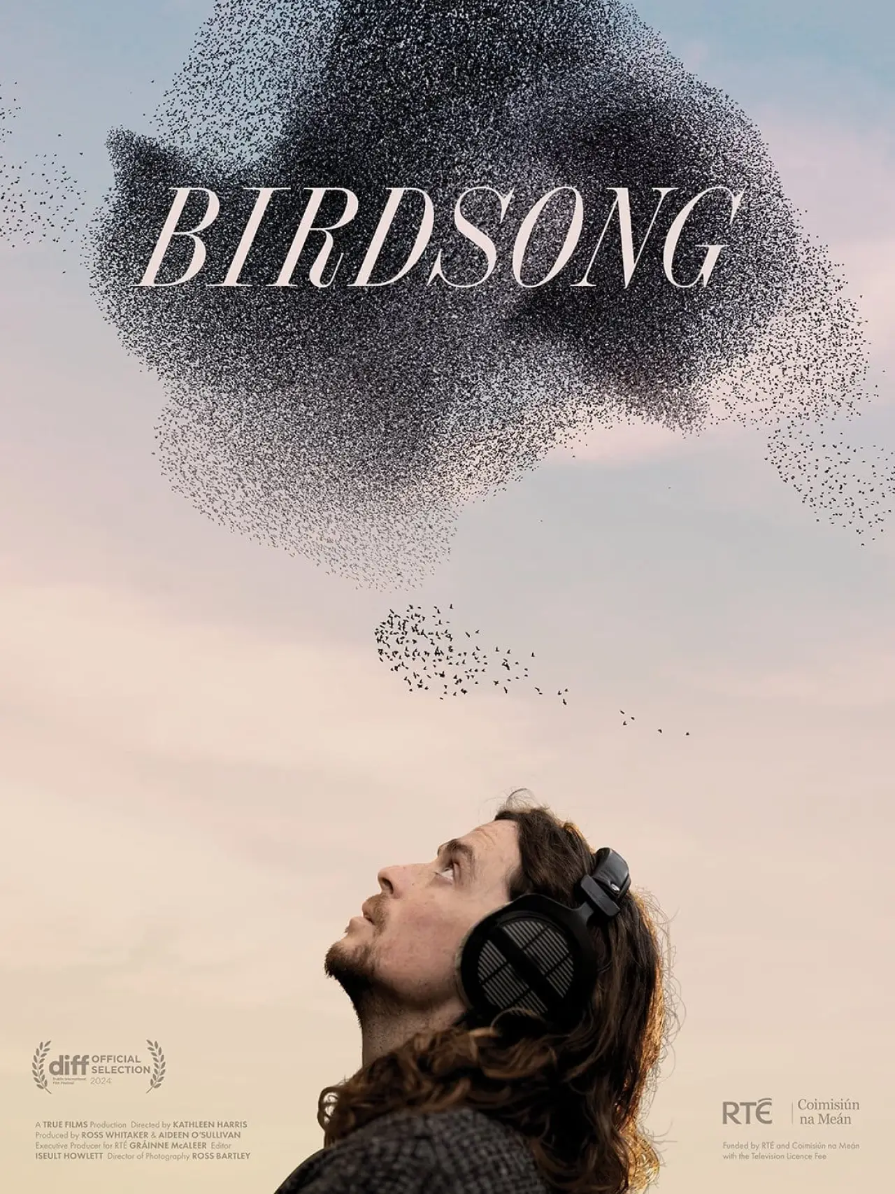 Постер к фильму "Birdsong"