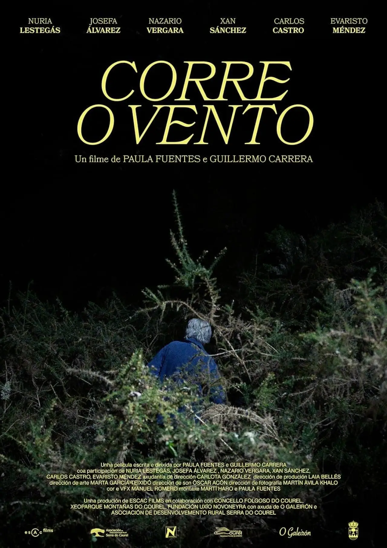 Постер к фильму "Corre o vento"