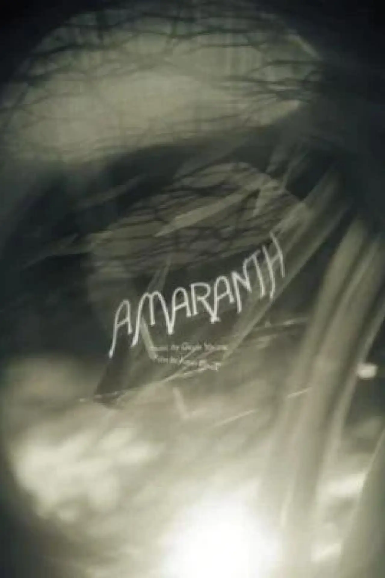 Постер к фильму "Amaranth"