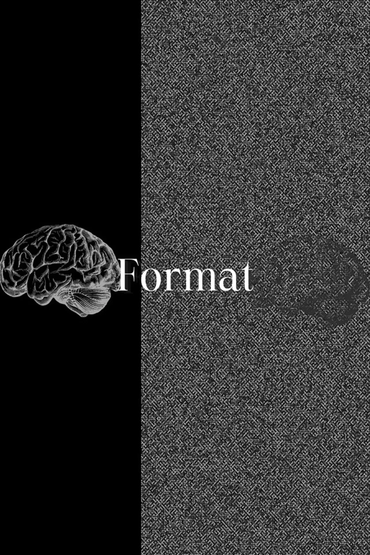Постер к фильму "Format"