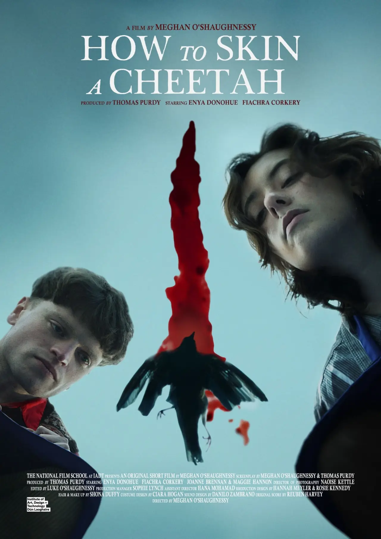 Постер к фильму "How to Skin a Cheetah"