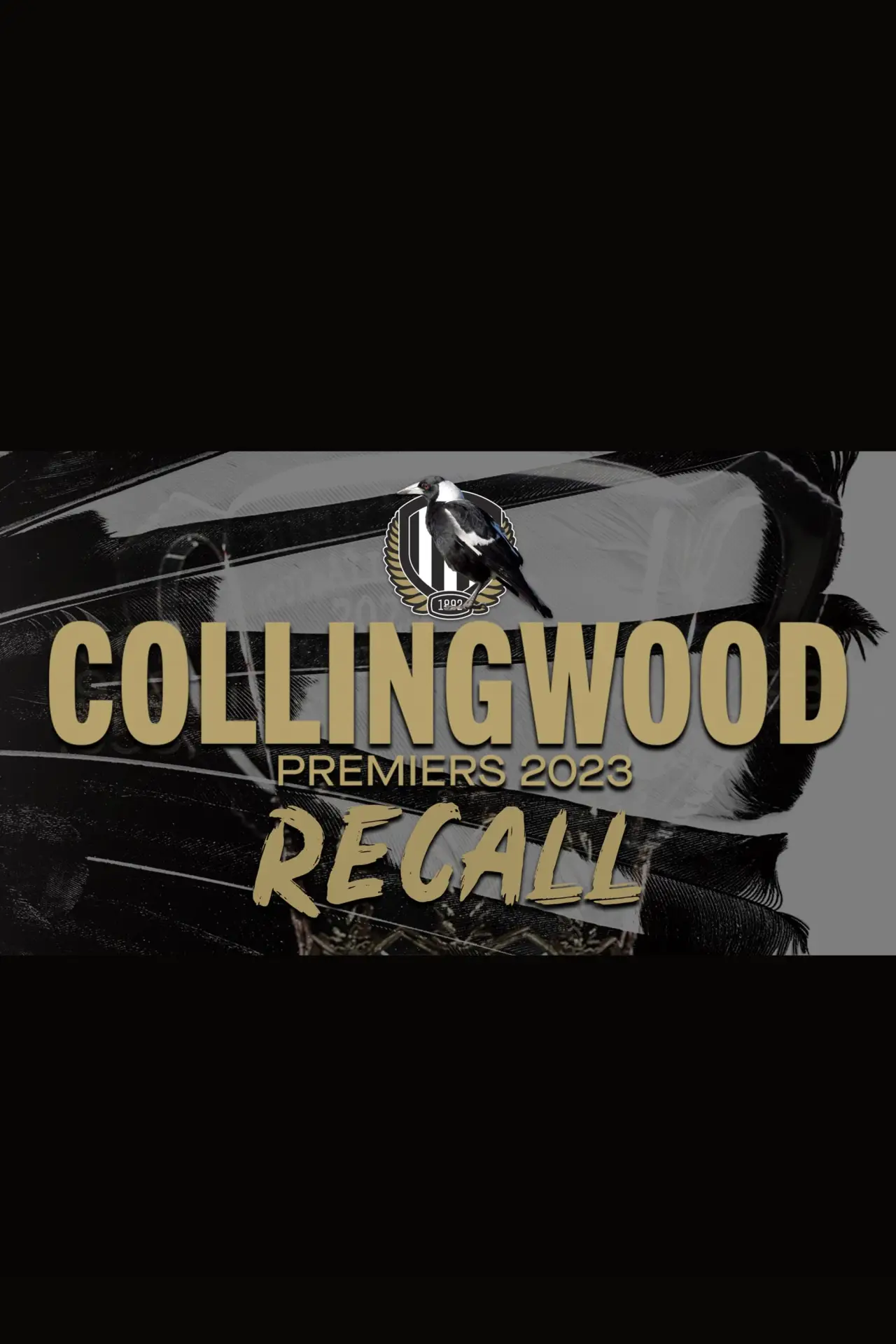 Постер к фильму "Collingwood Recall"