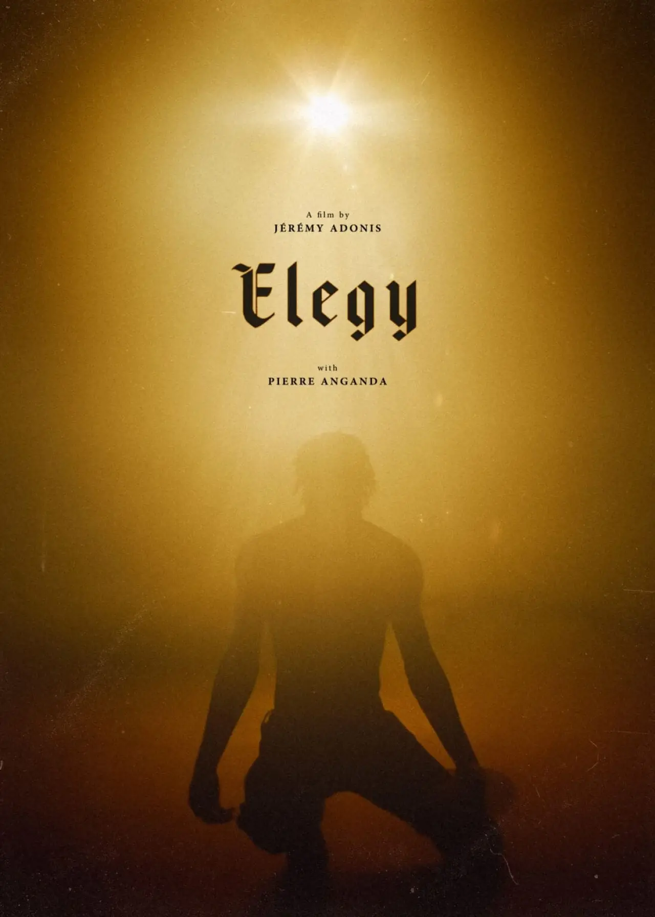Постер к фильму "Elegy"