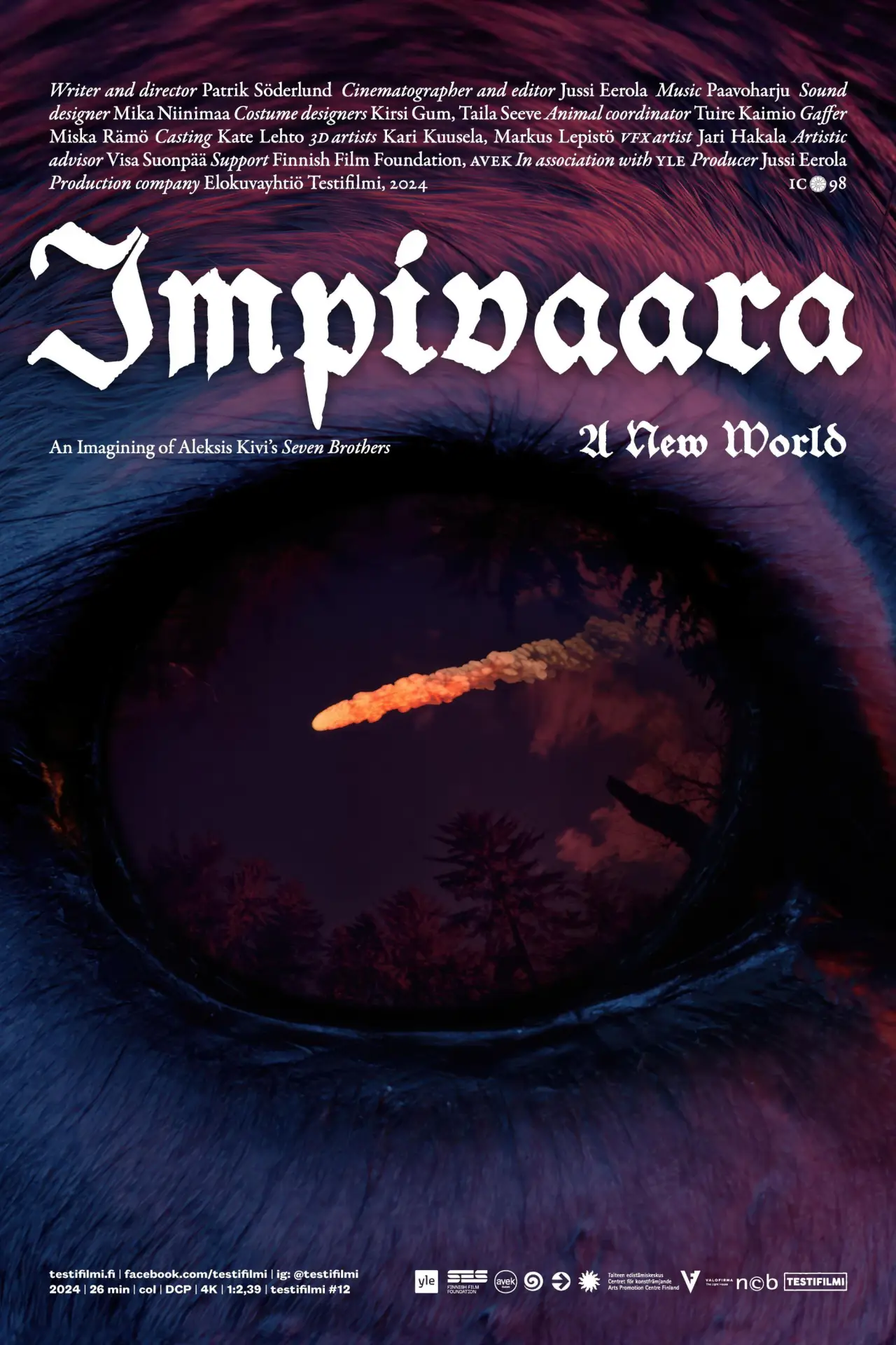 Постер к фильму "Impivaara"