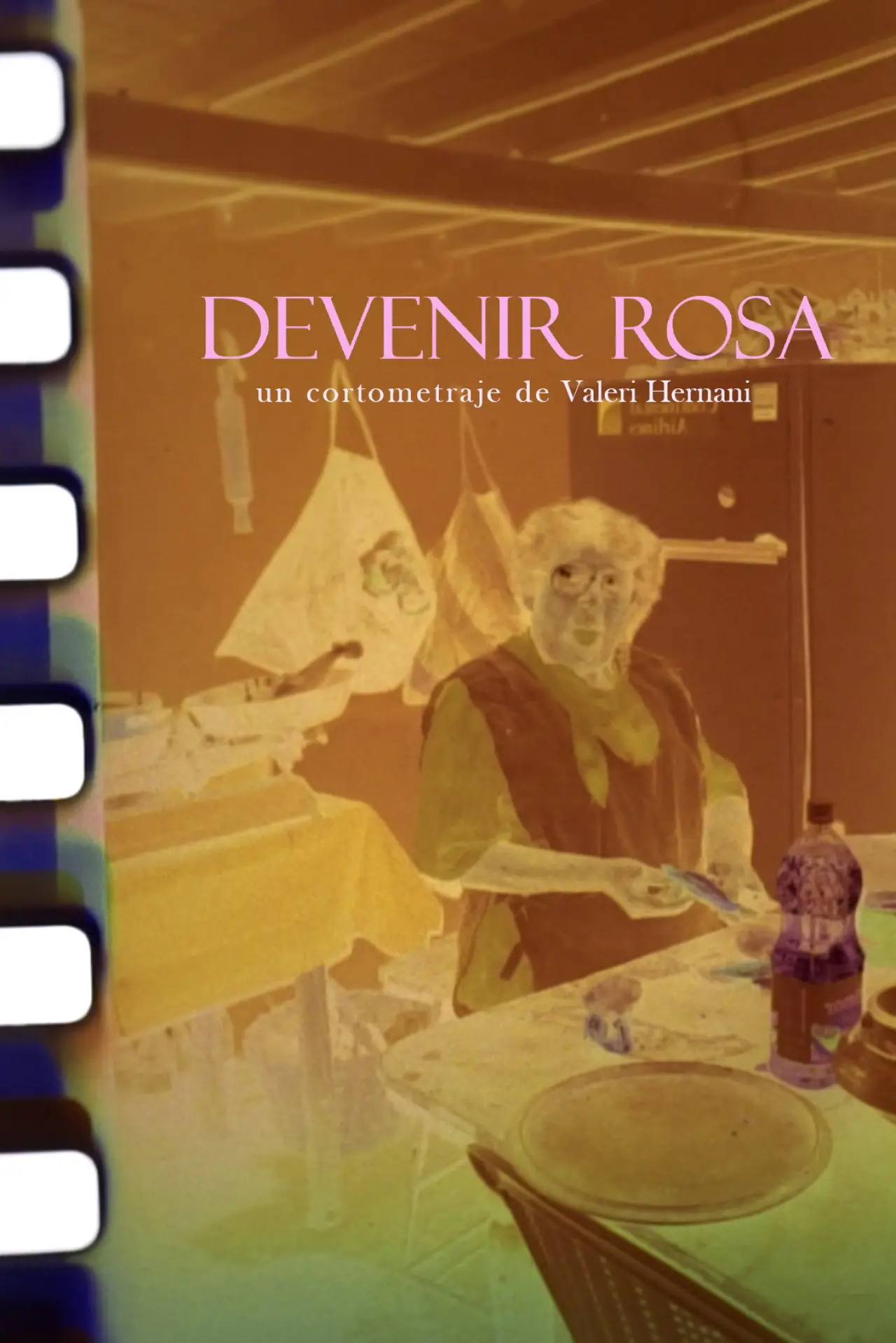 Постер к фильму "Devenir Rosa"