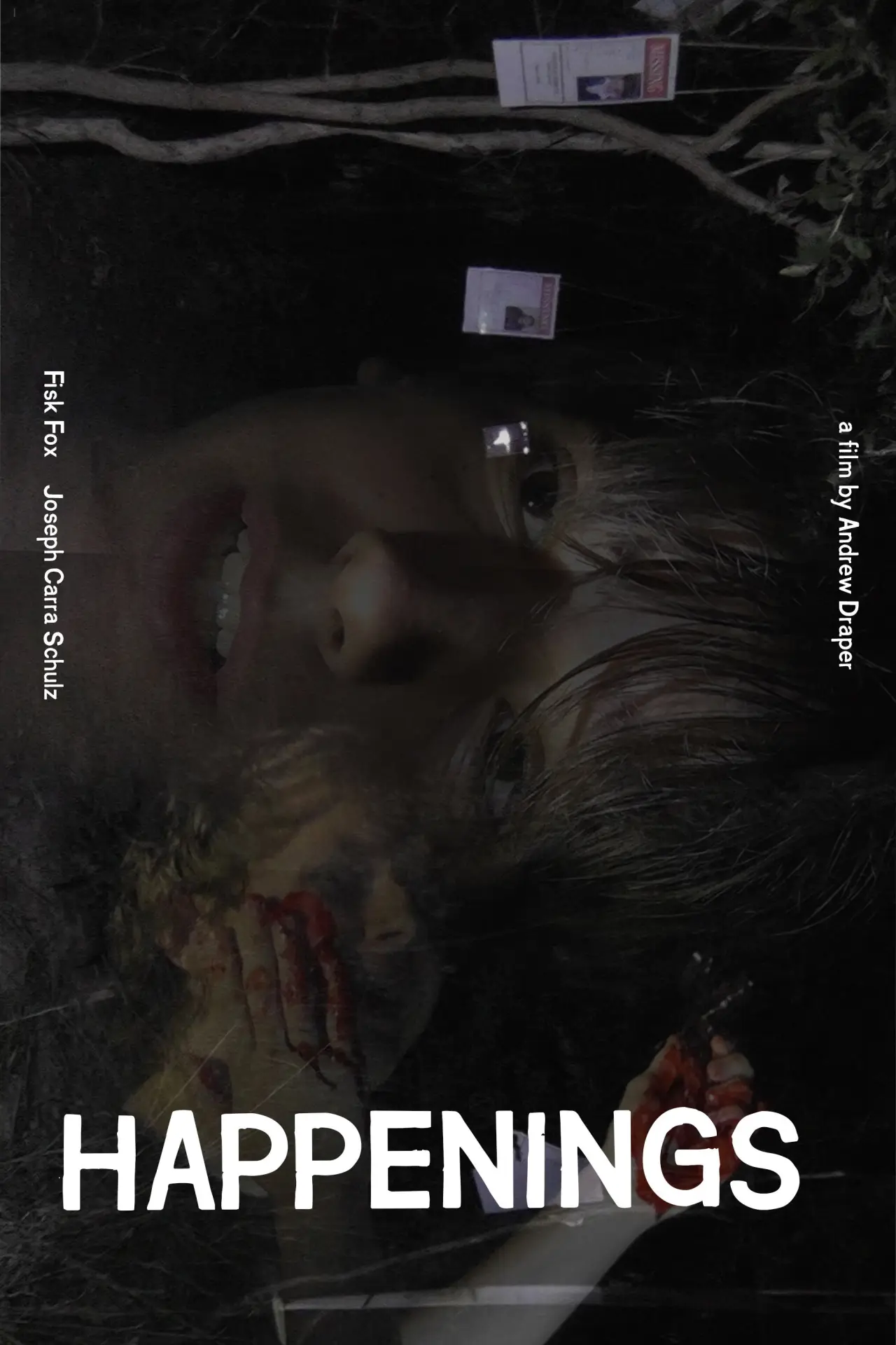 Постер к фильму "Happenings"
