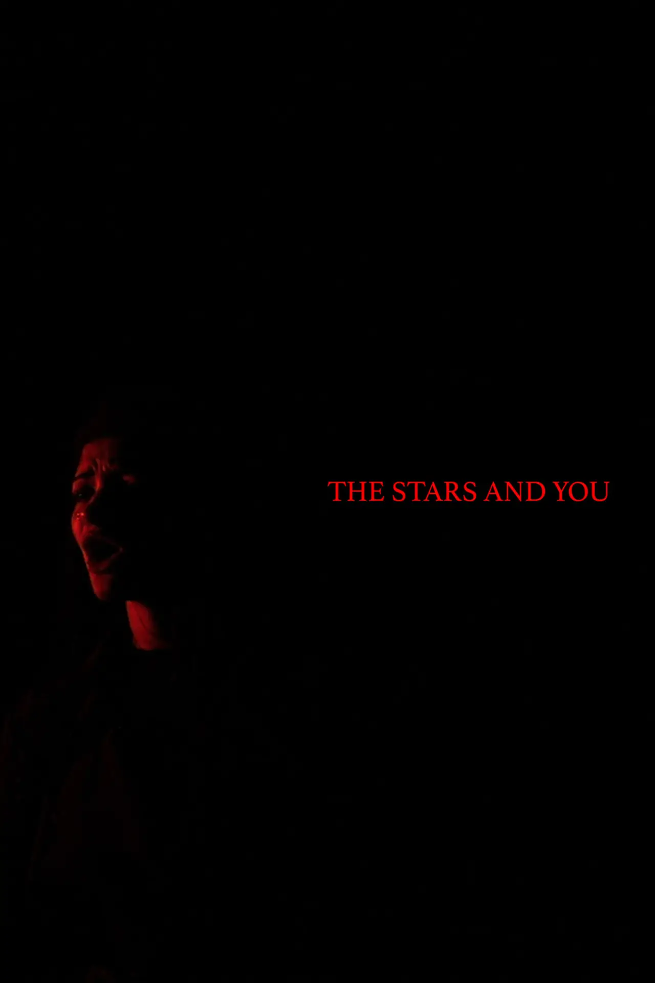 Постер к фильму "The Stars and You"