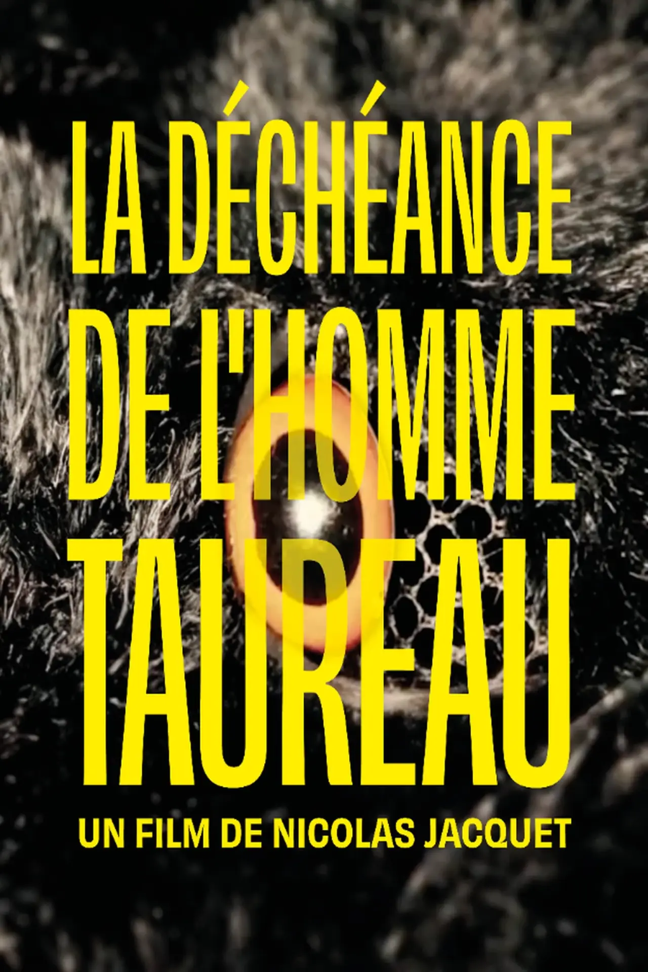 Постер к фильму "La déchéance de l