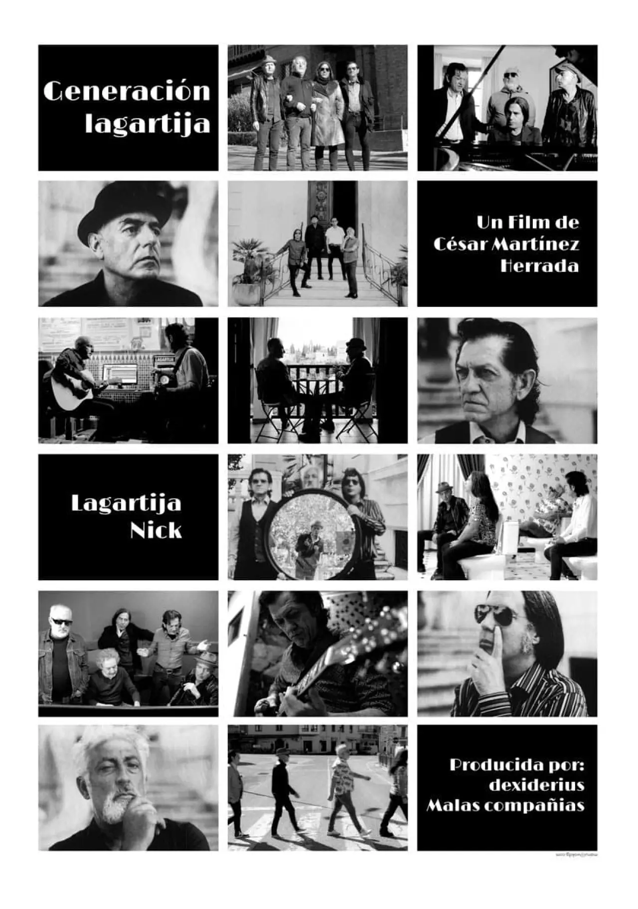 Постер к фильму "Generación Lagartija"