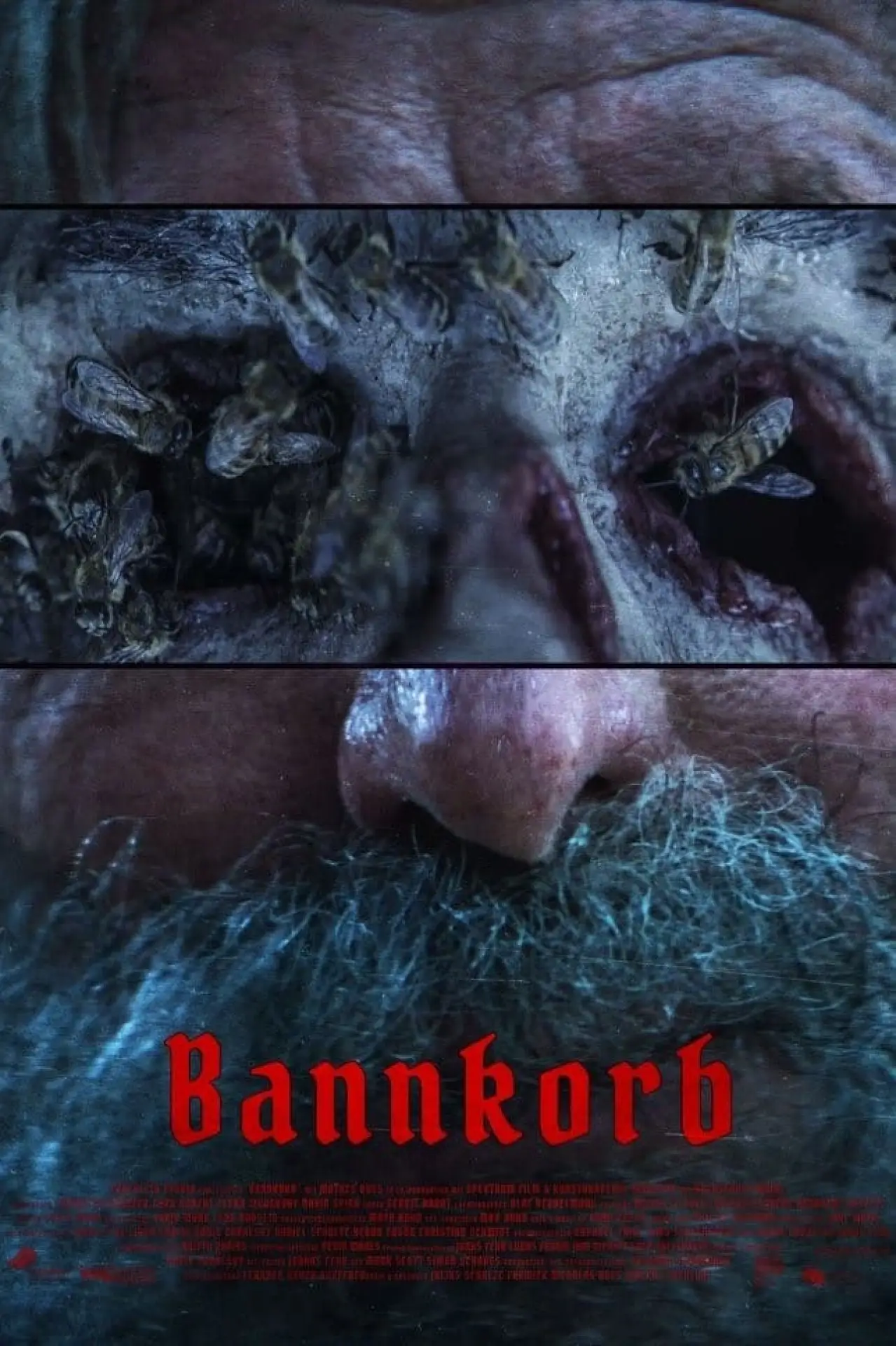 Постер к фильму "Bannkorb"