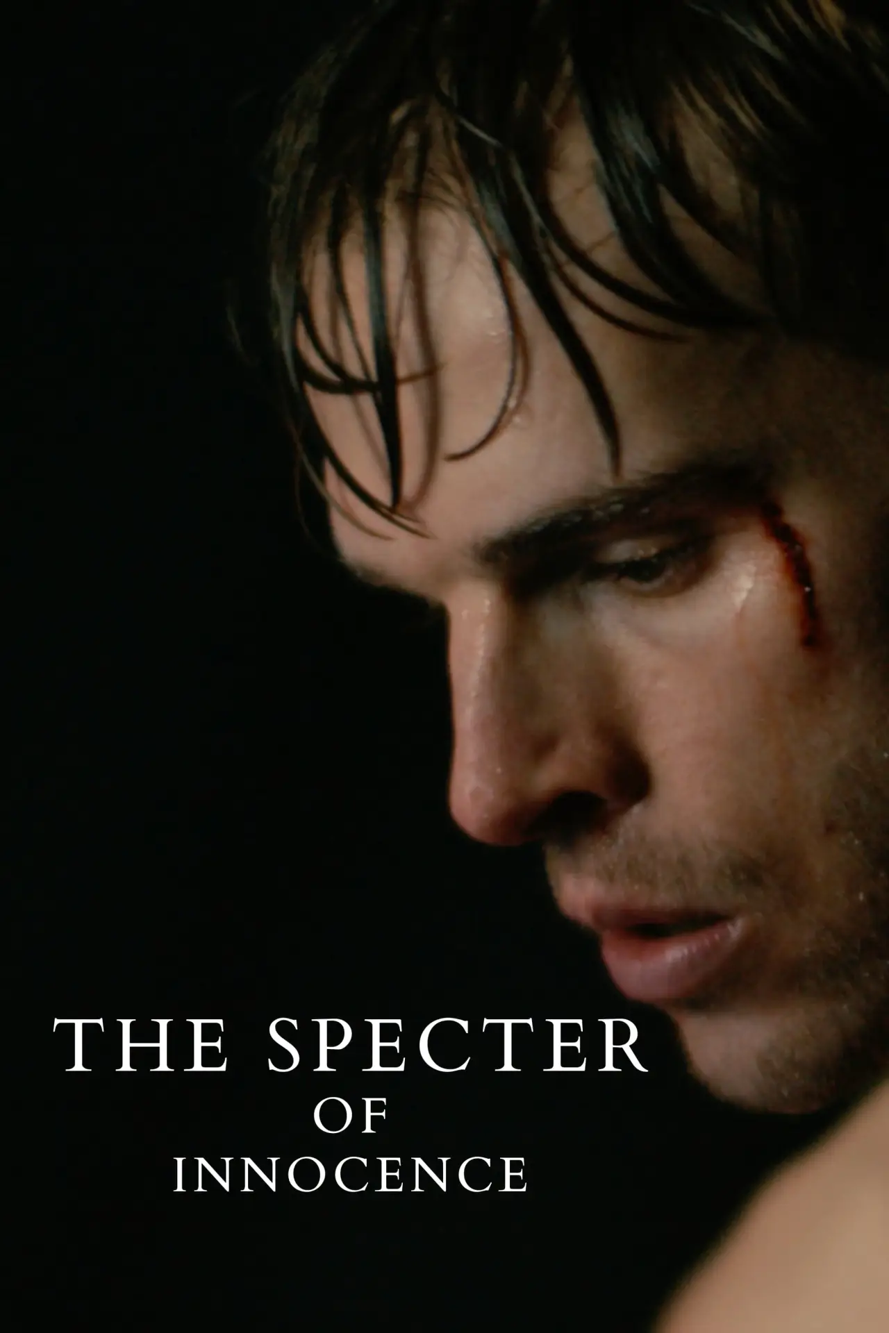 Постер к фильму "Le spectre de l