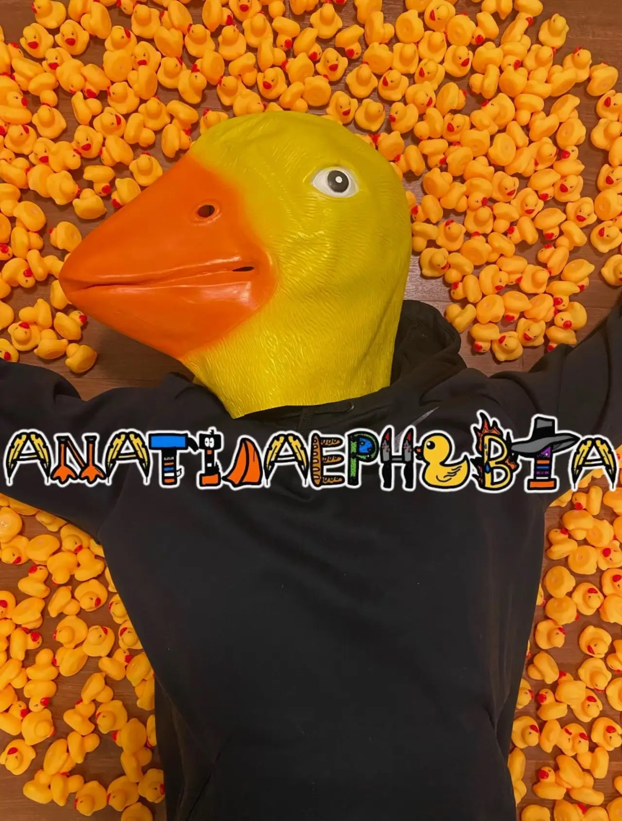 Постер к фильму "Anatidaephobia"