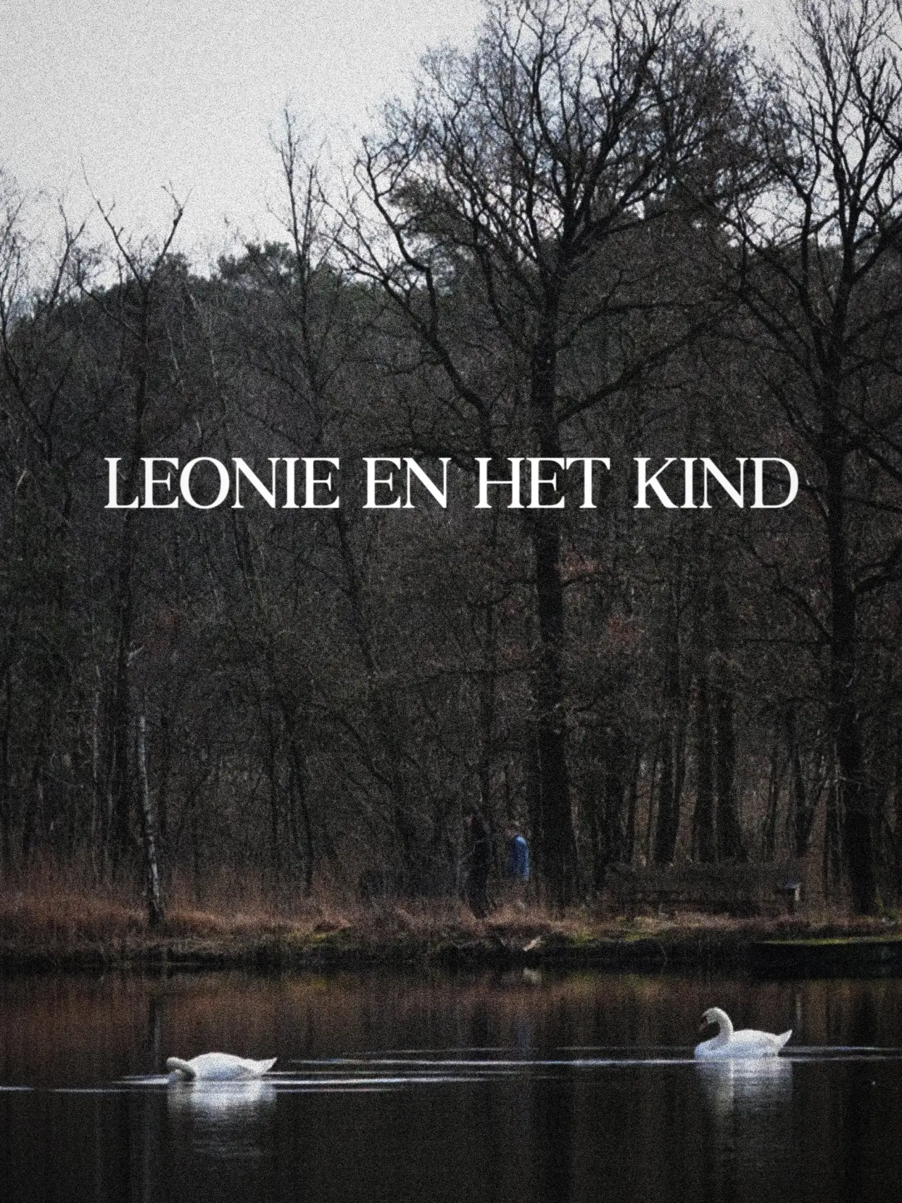 Постер к фильму "Leonie en Het Kind"