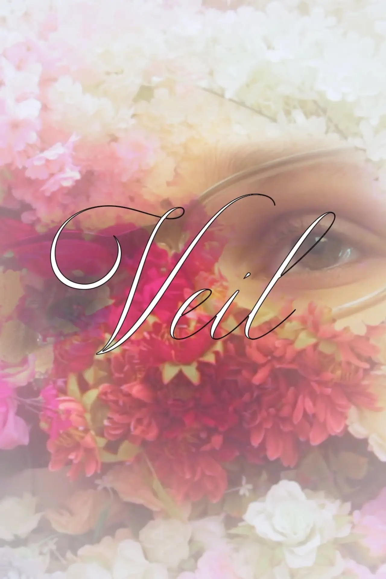 Постер к фильму "Veil"