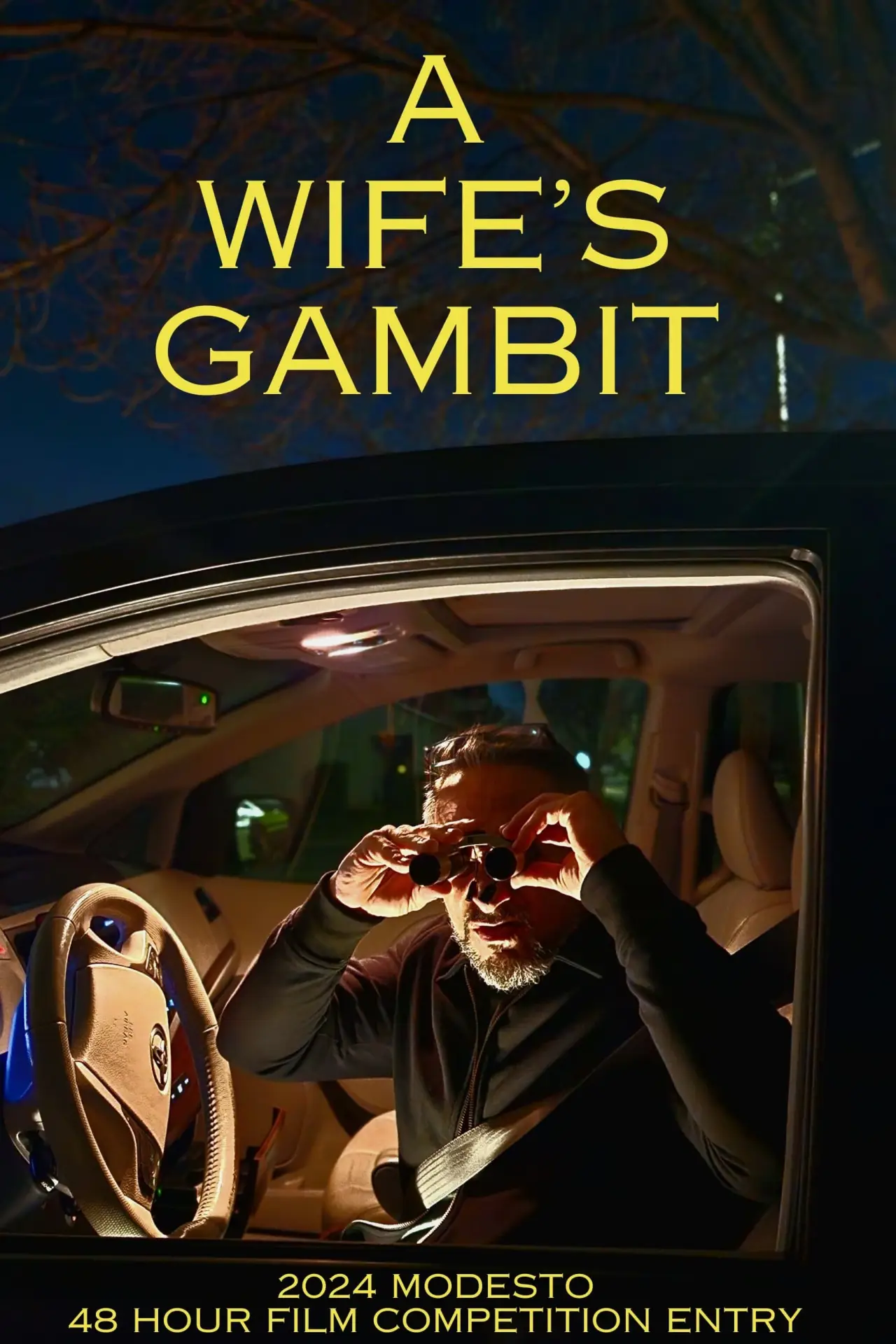 Постер к фильму "A Wife