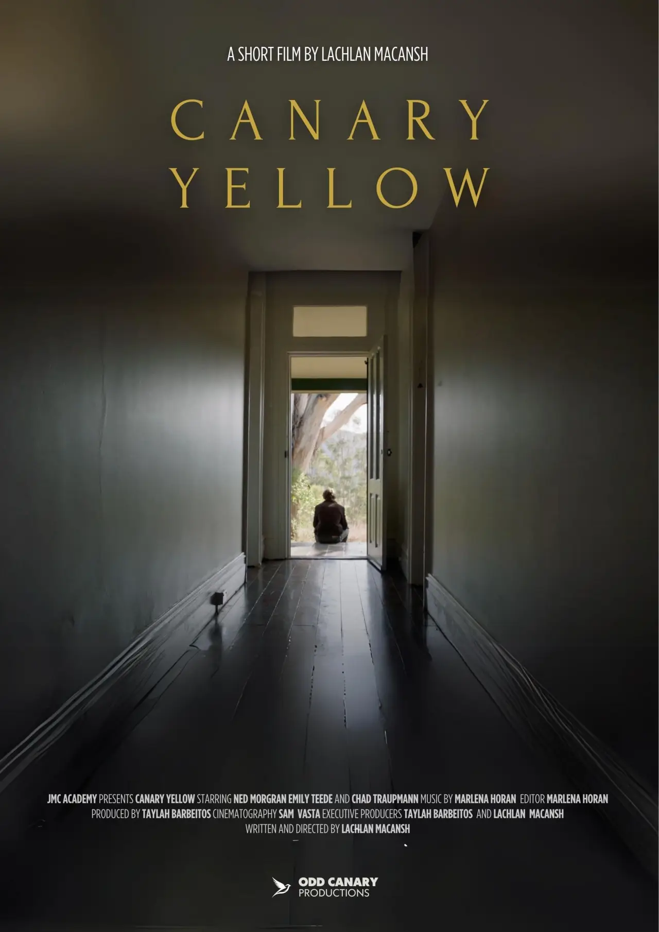 Постер к фильму "Canary Yellow"