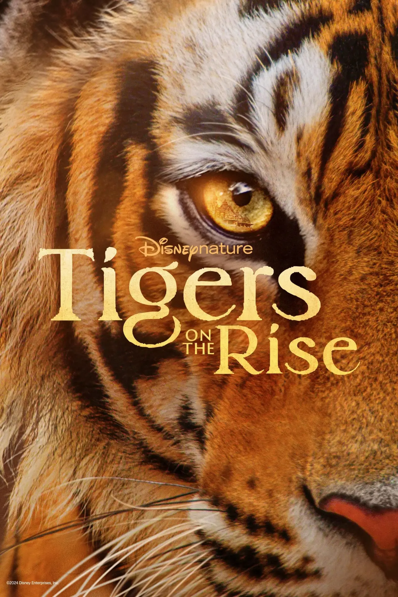Постер к фильму "Tigers on the Rise"