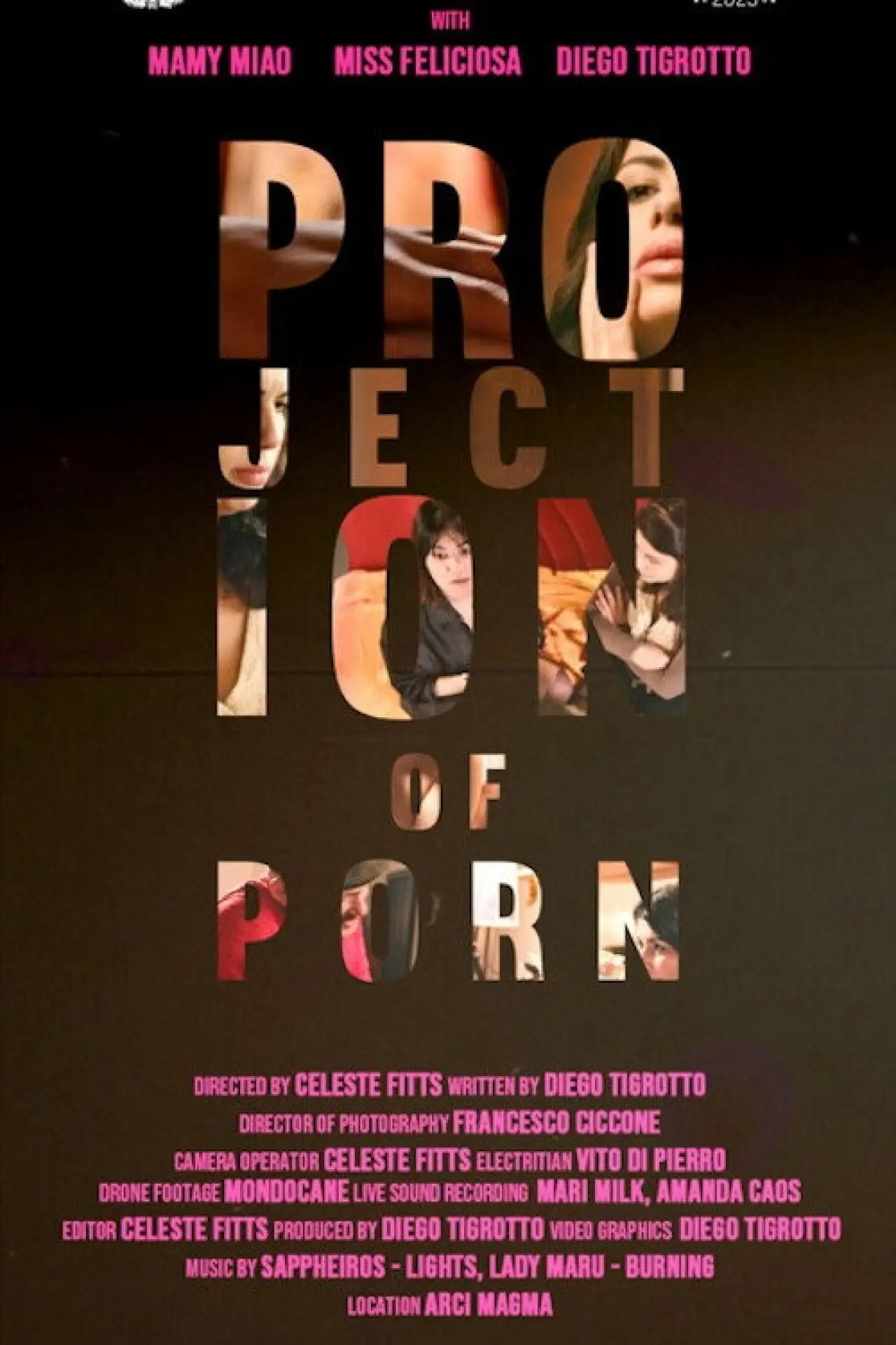 Постер к фильму "La proiezione (Porno)"