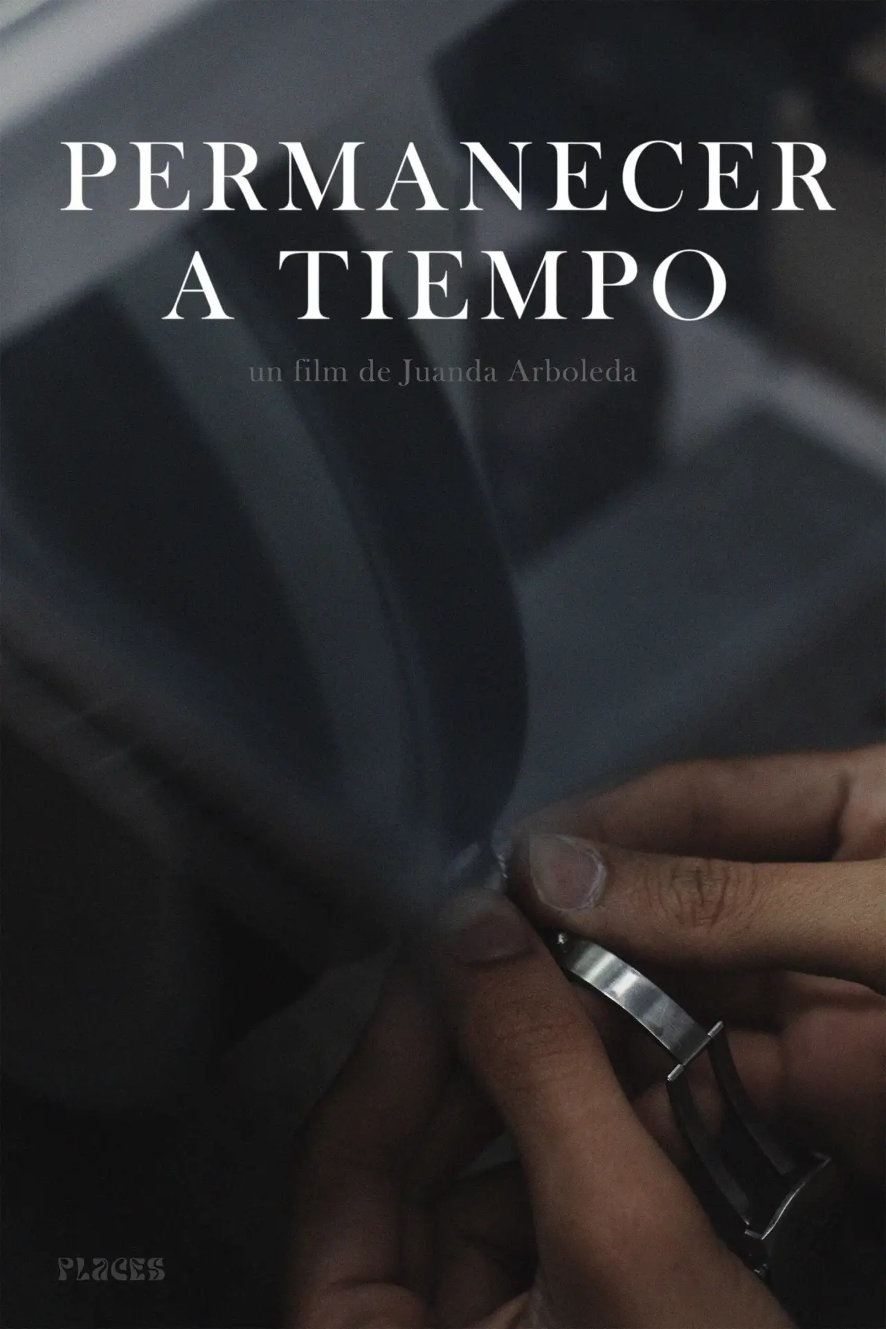 Постер к фильму "Permanecer a tiempo"