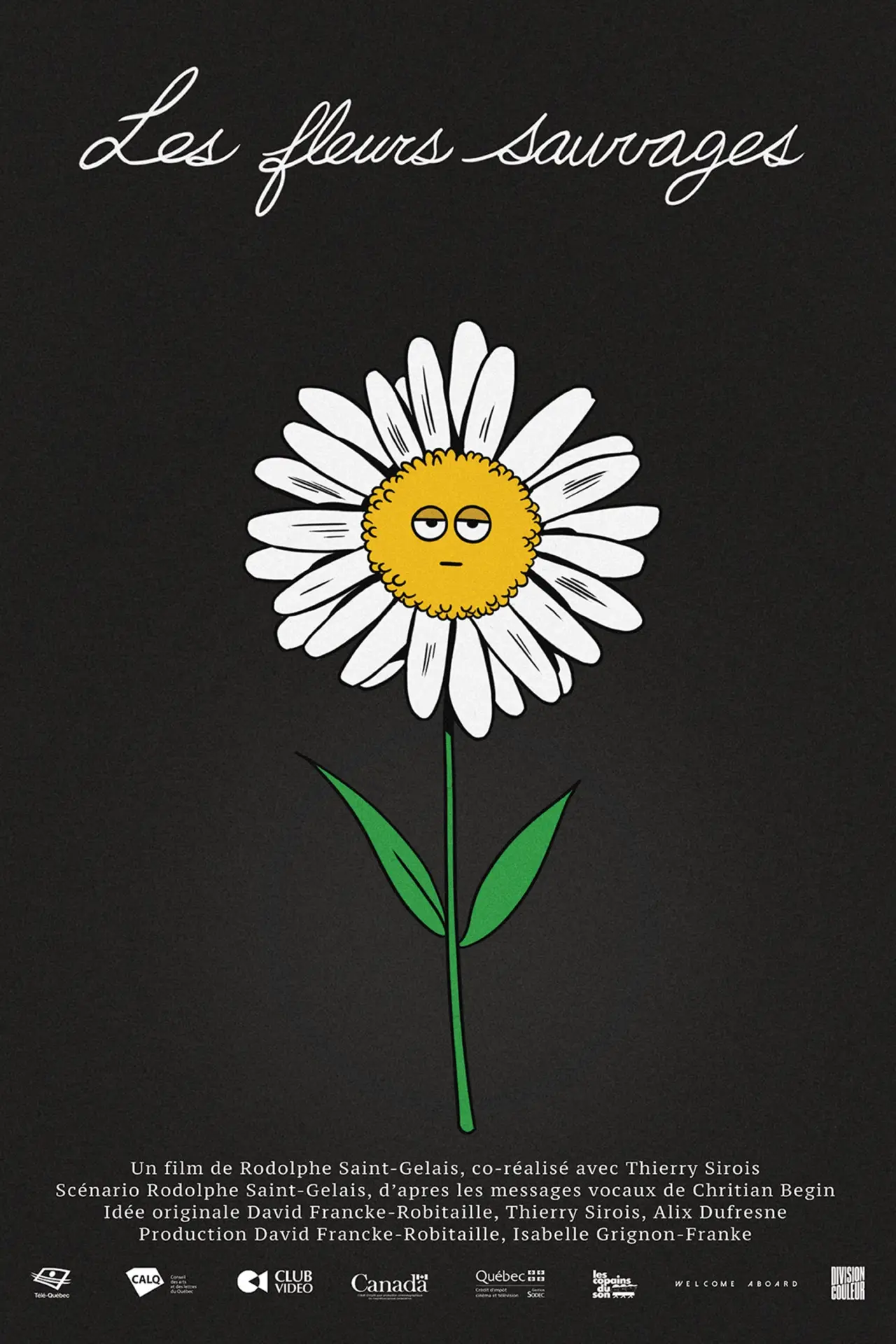 Постер к фильму "Les fleurs sauvages"