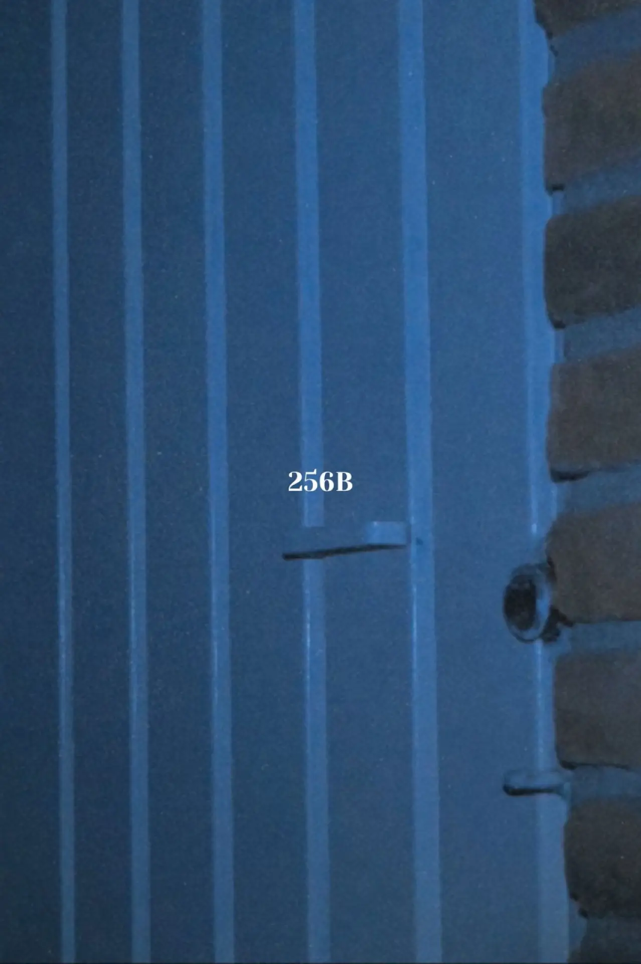 Постер к фильму "256B"