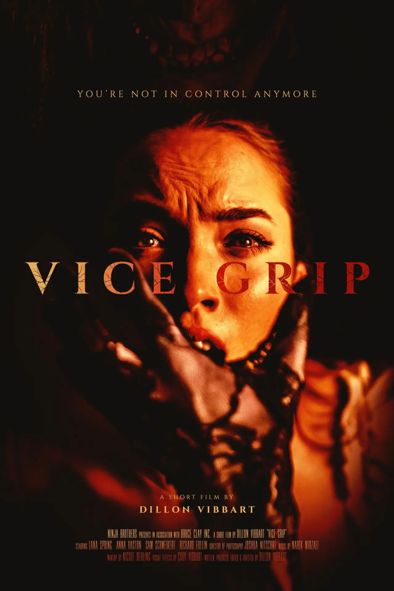 Постер к фильму "Vice Grip"