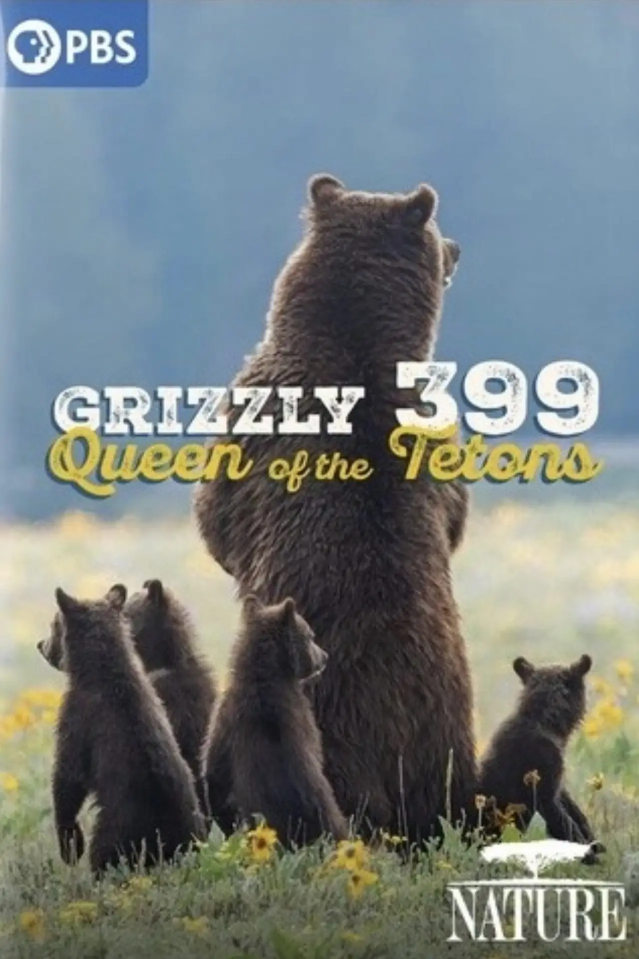 Постер к фильму "399: Queen of the Tetons"
