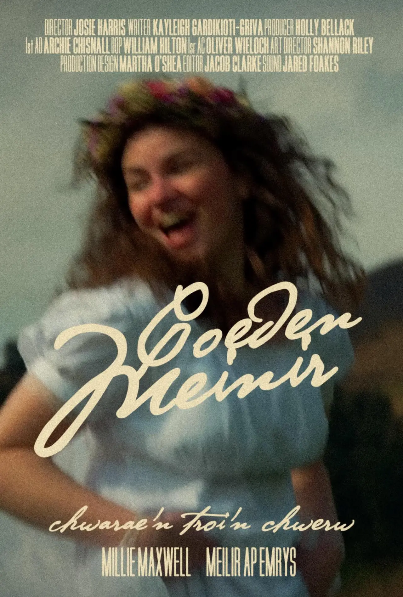 Постер к фильму "Coeden Meinir"
