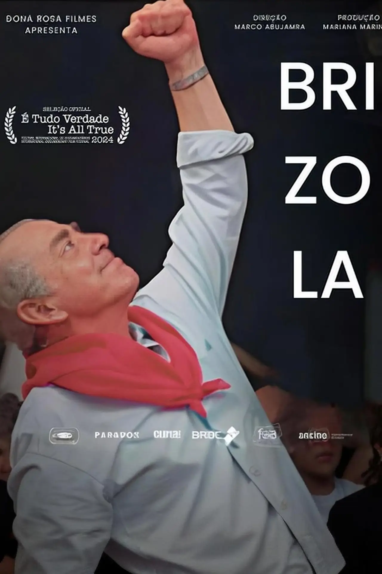 Постер к фильму "Brizola"