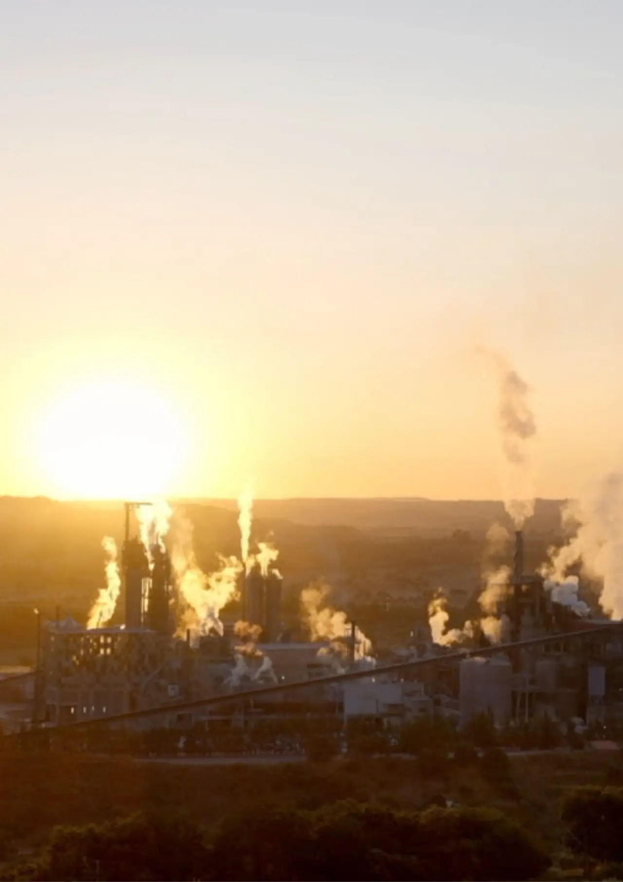 Постер к фильму "I Asked the Factory"