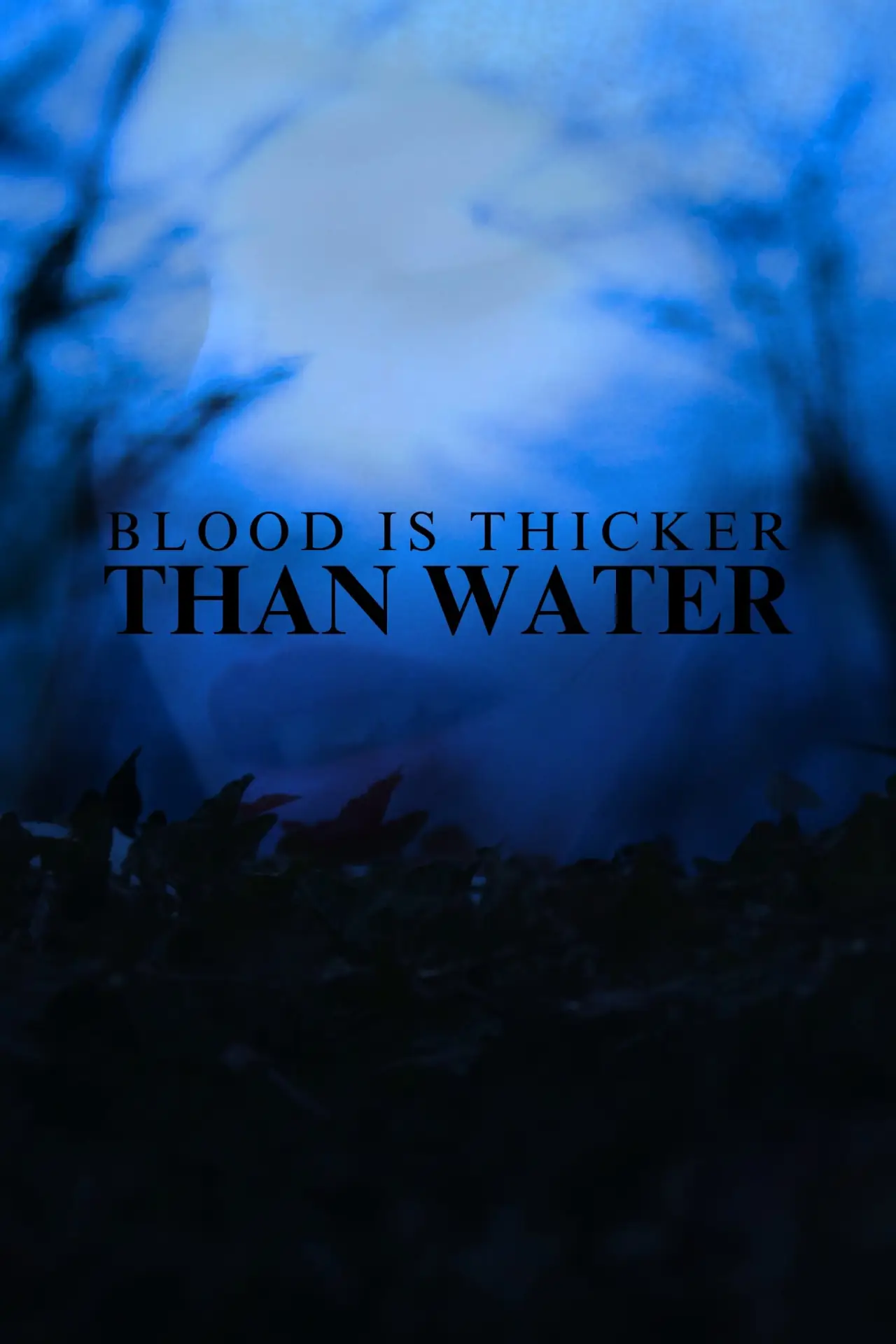 Постер к фильму "Blood Is Thicker Than Water"