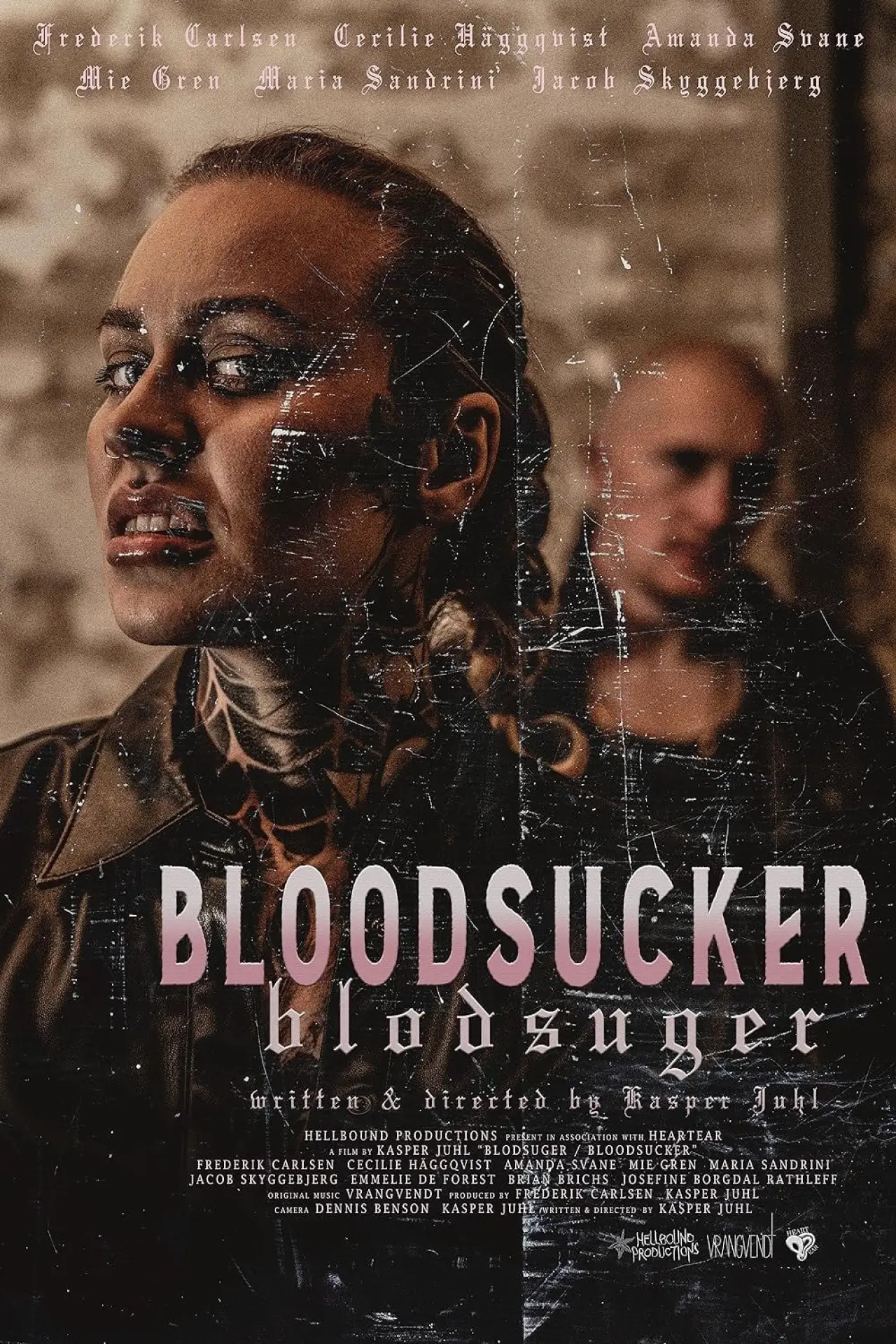 Постер к фильму "Blodsuger"