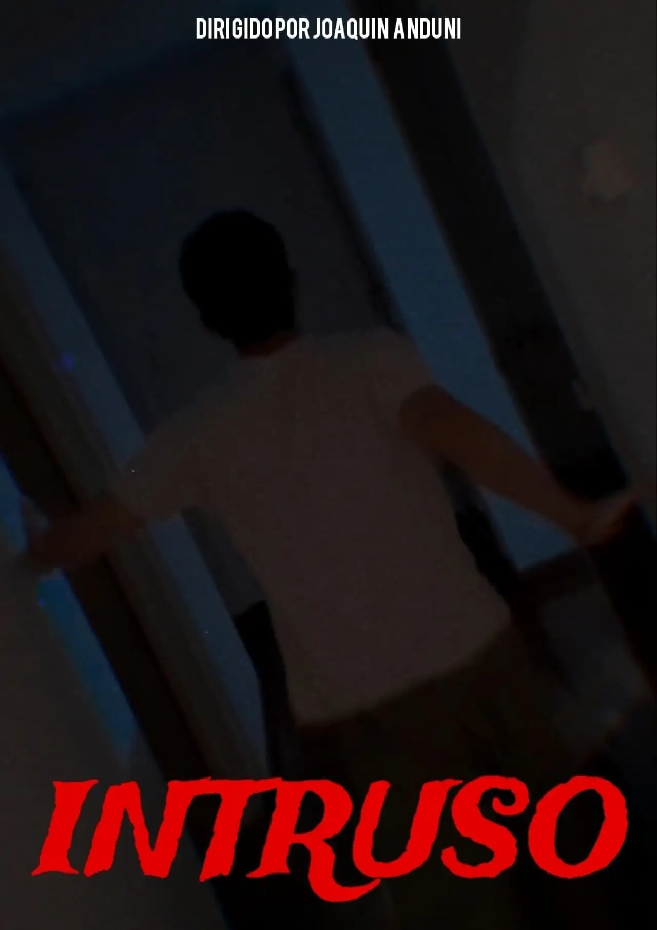 Постер к фильму "INTRUSO"
