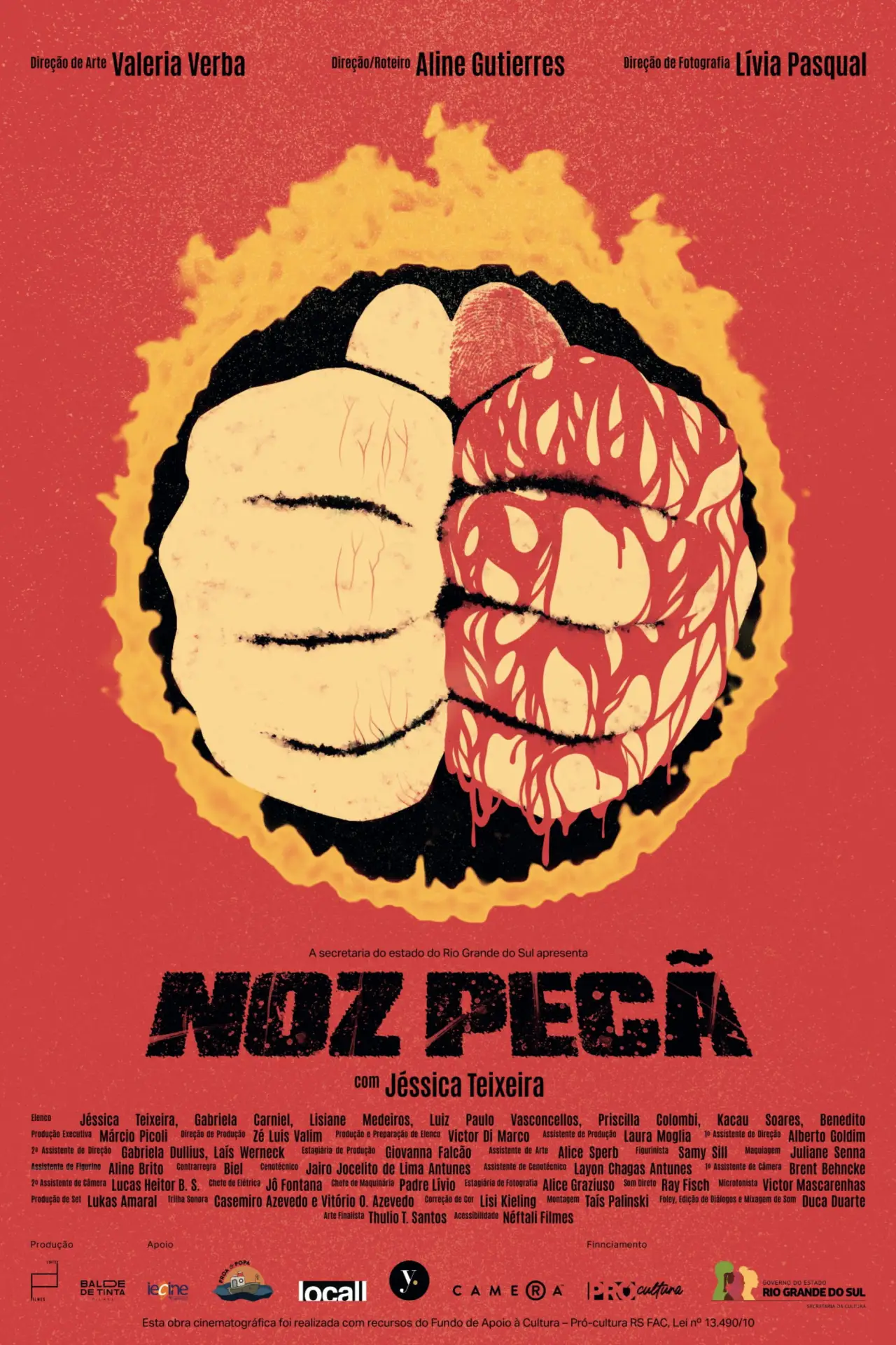Постер к фильму "Noz Pecã"