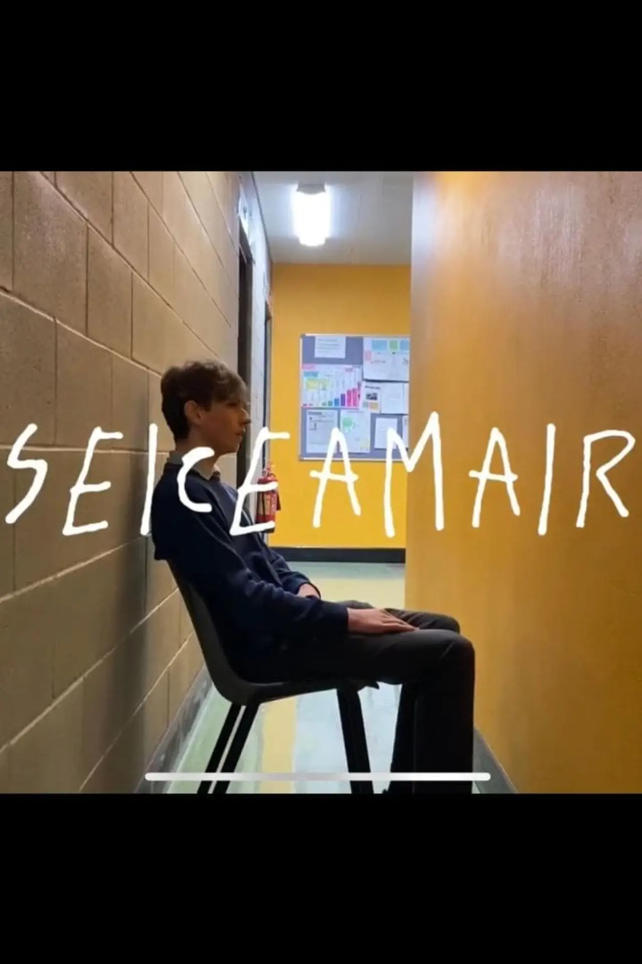 Постер к фильму "Seiceamair"