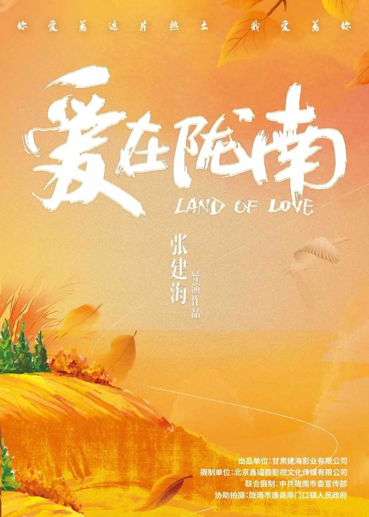 Постер к фильму "爱在陇南"
