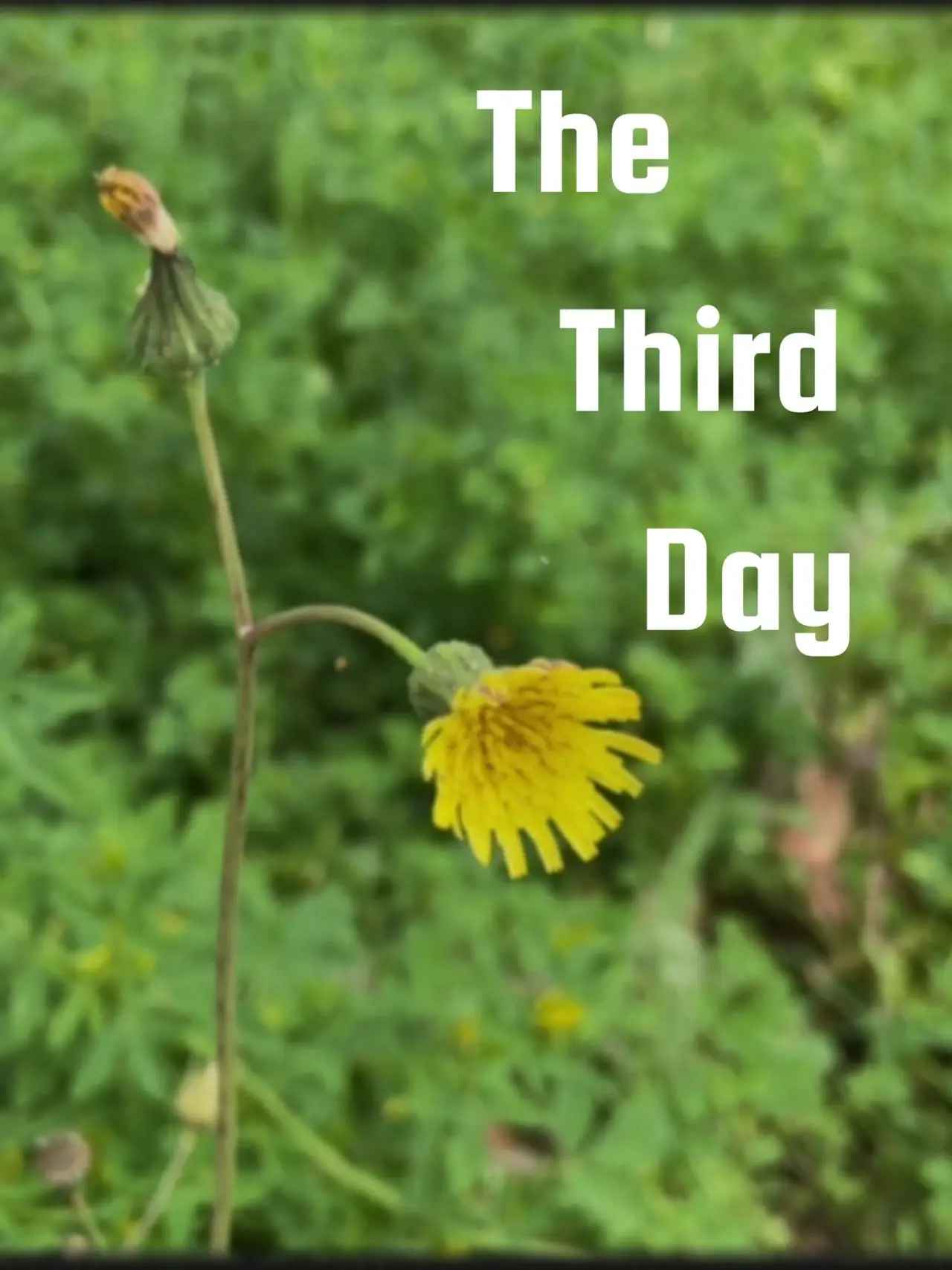 Постер к фильму "The Third Day"